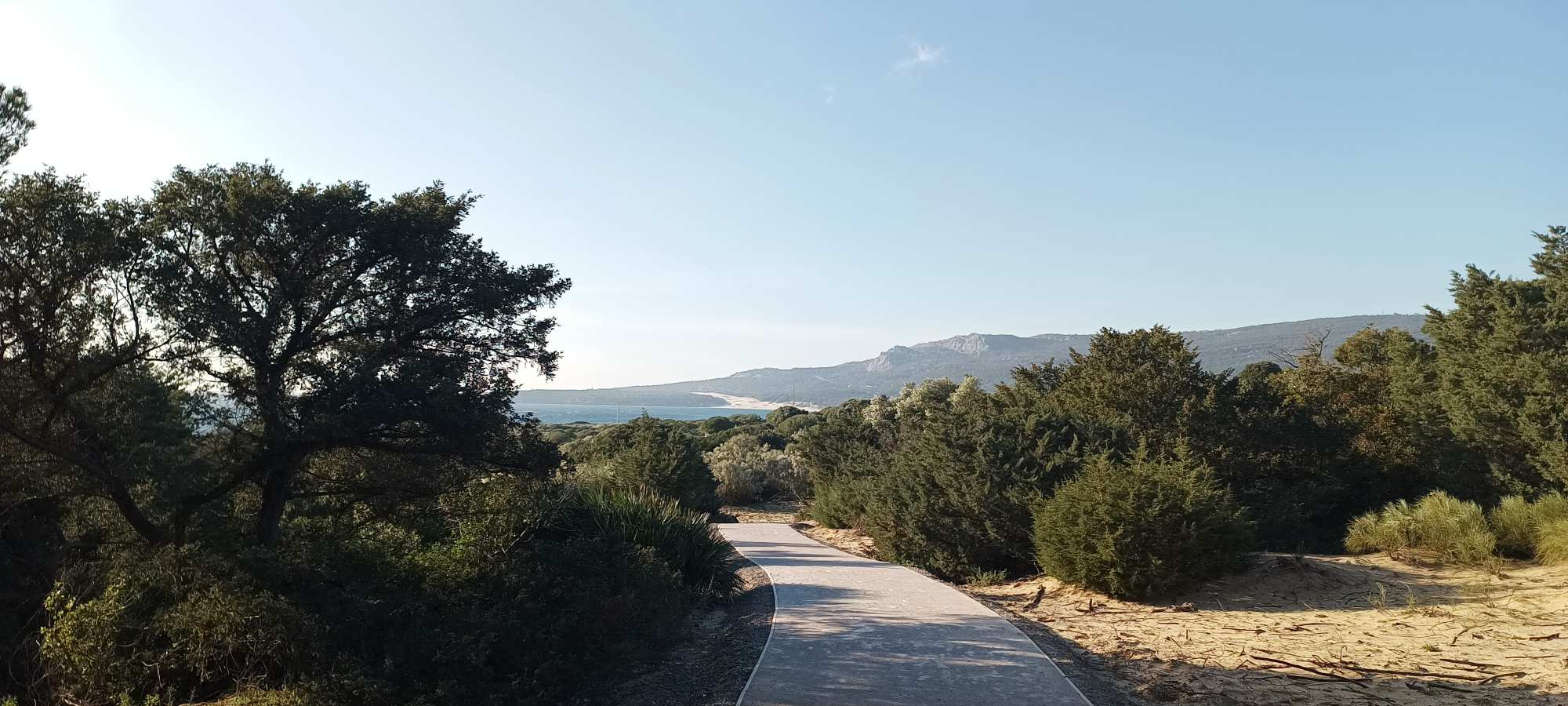 Tarifa-Bolonia