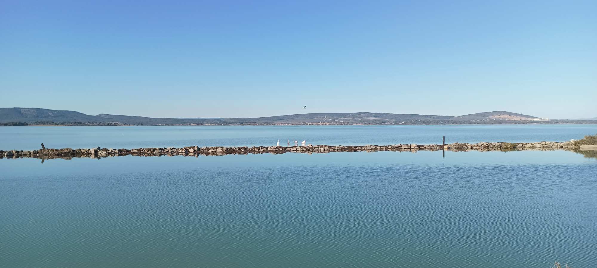 Canal du Rhône a Sète