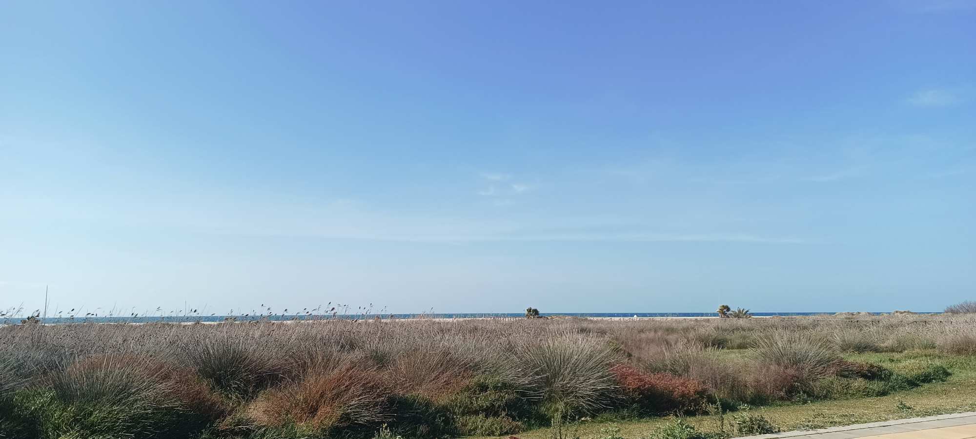 Conil de Lá Frontera