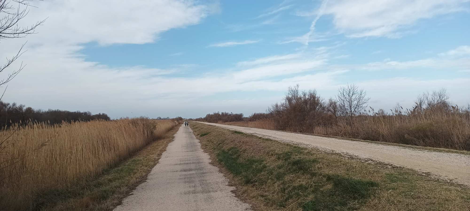 Camargue in bici