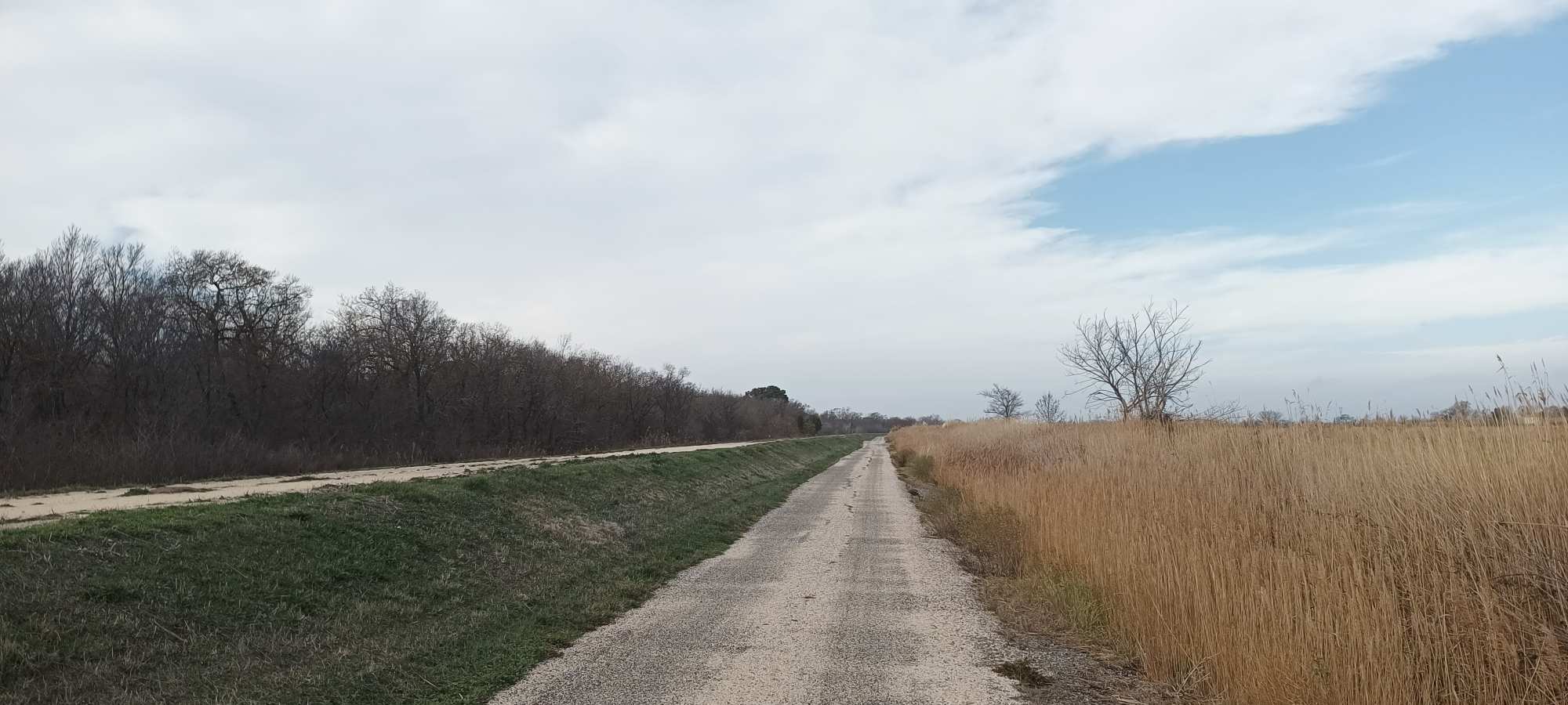 Camargue in bici