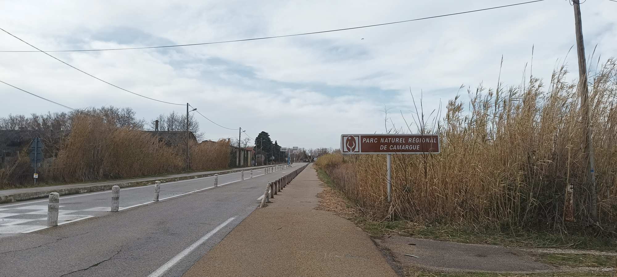 Camargue in bici