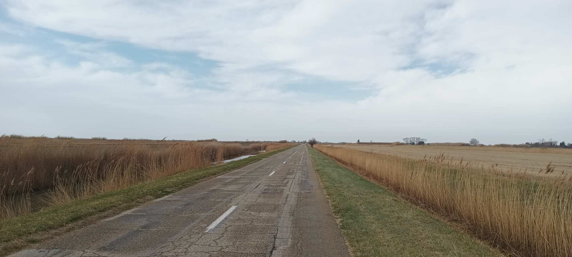 Camargue in bici