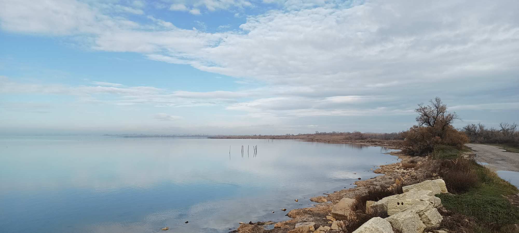 Camargue in bici