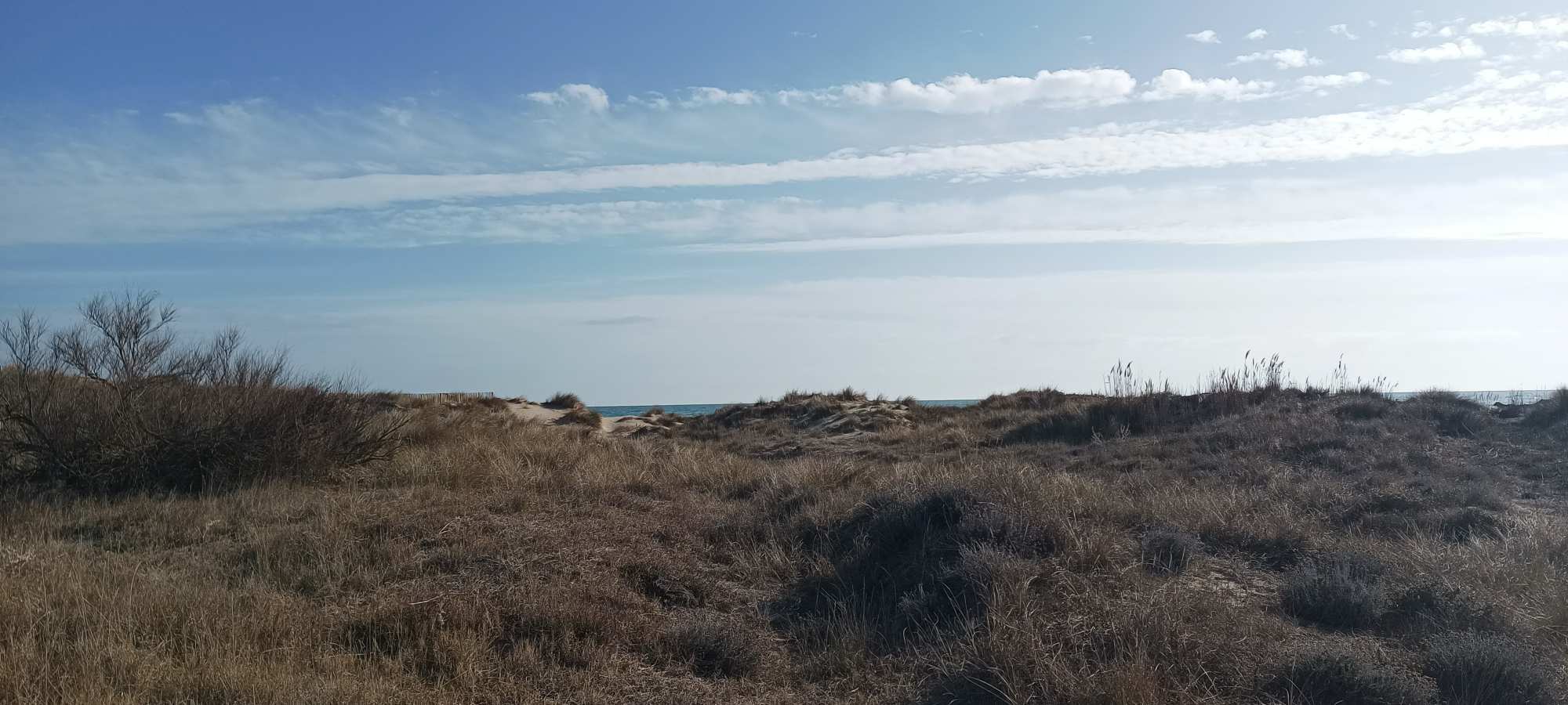 Marseillan-plage