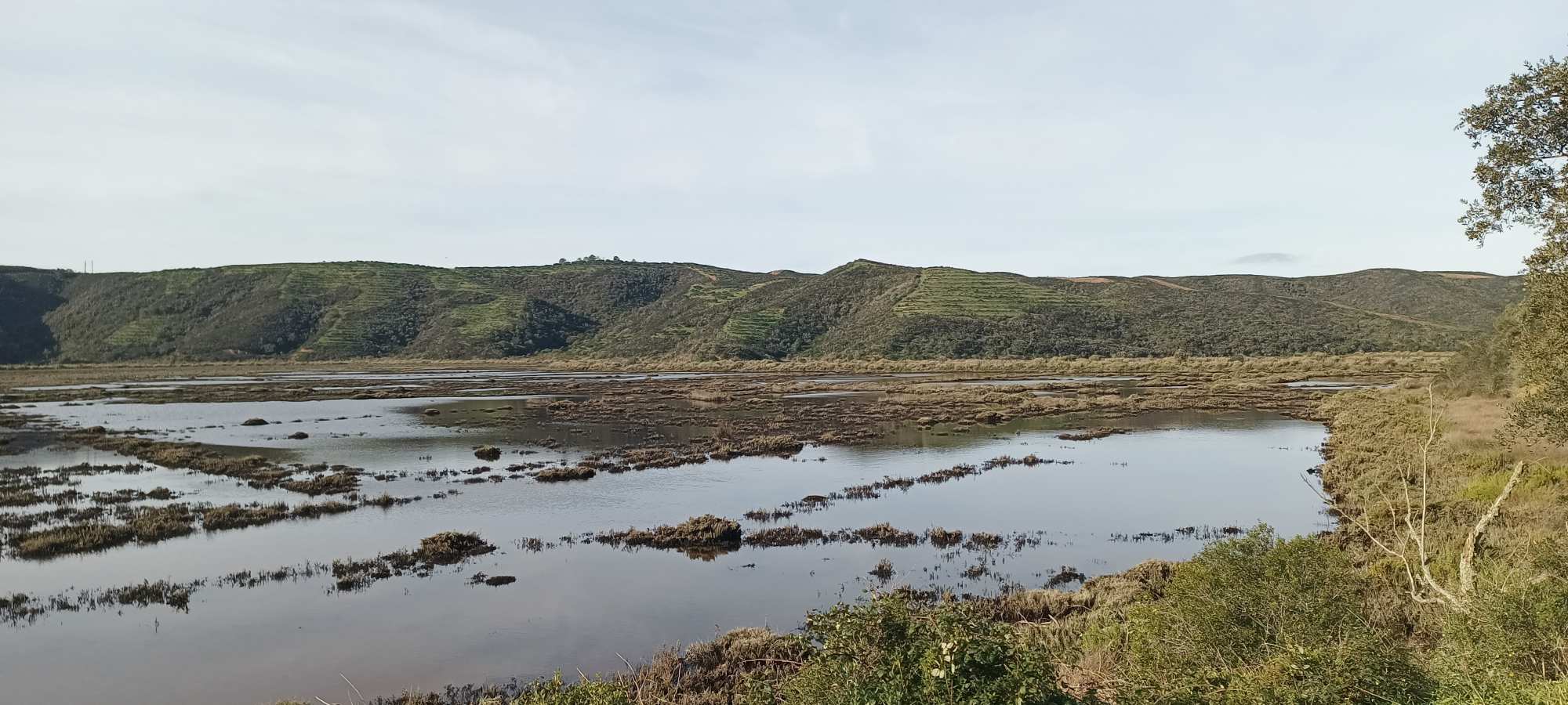Aljezur