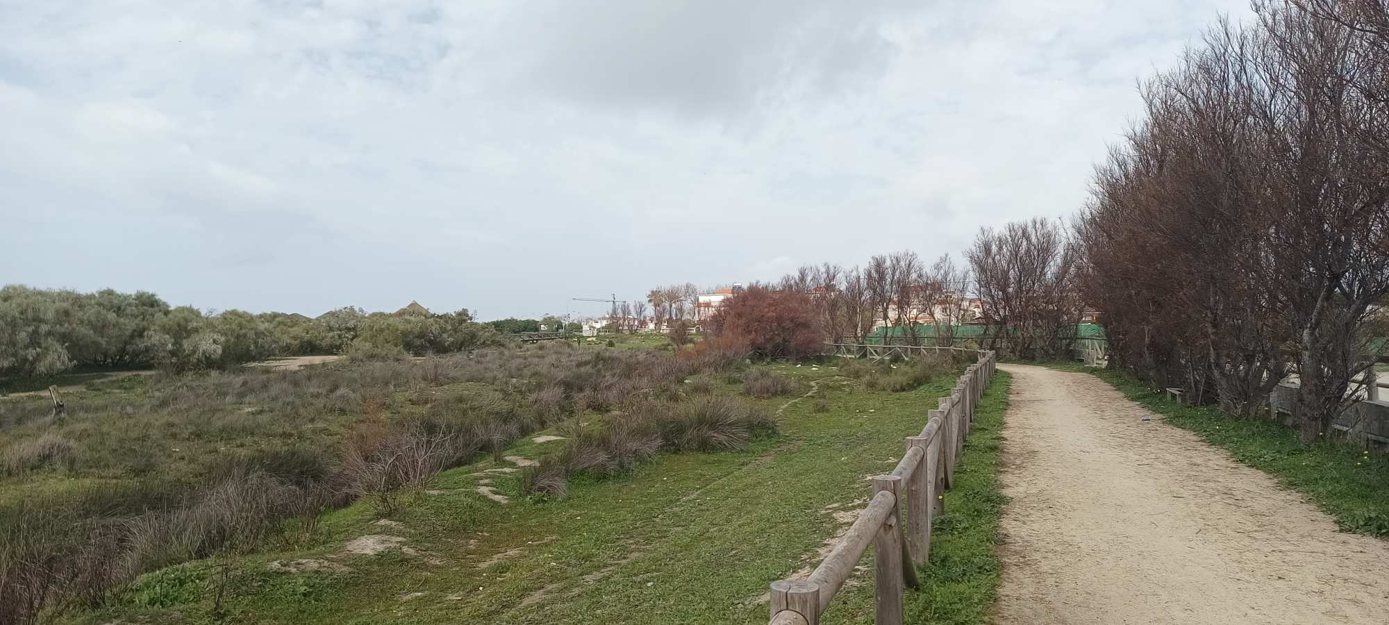 Costa Ballena