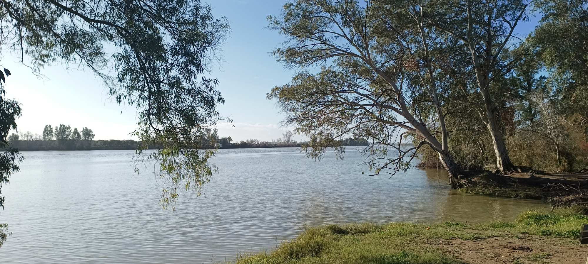 Parque Nacional de Doñana