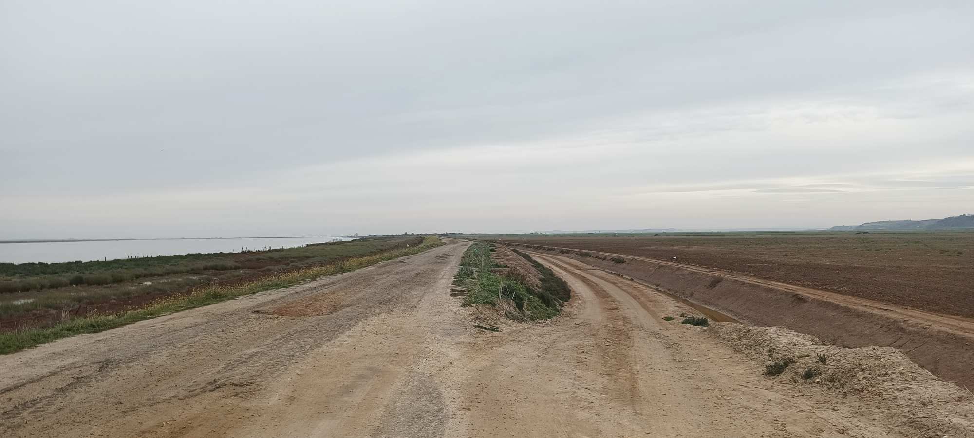 Parque Nacional de Doñana