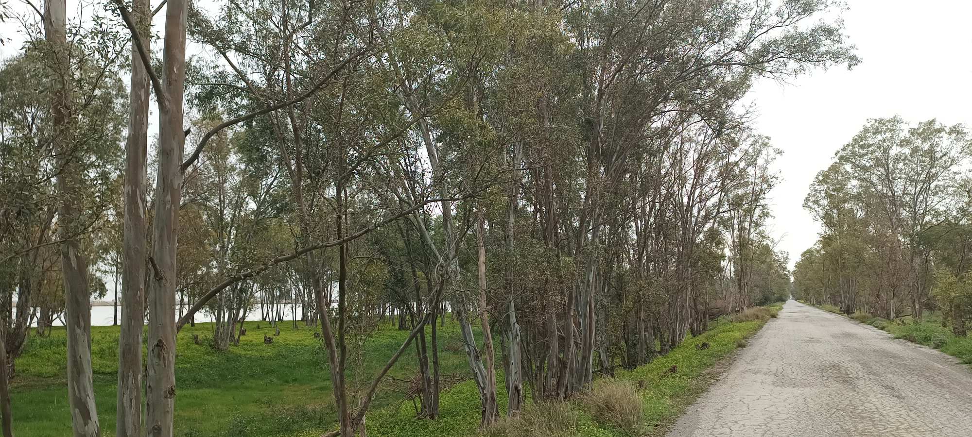 Parque Nacional de Doñana