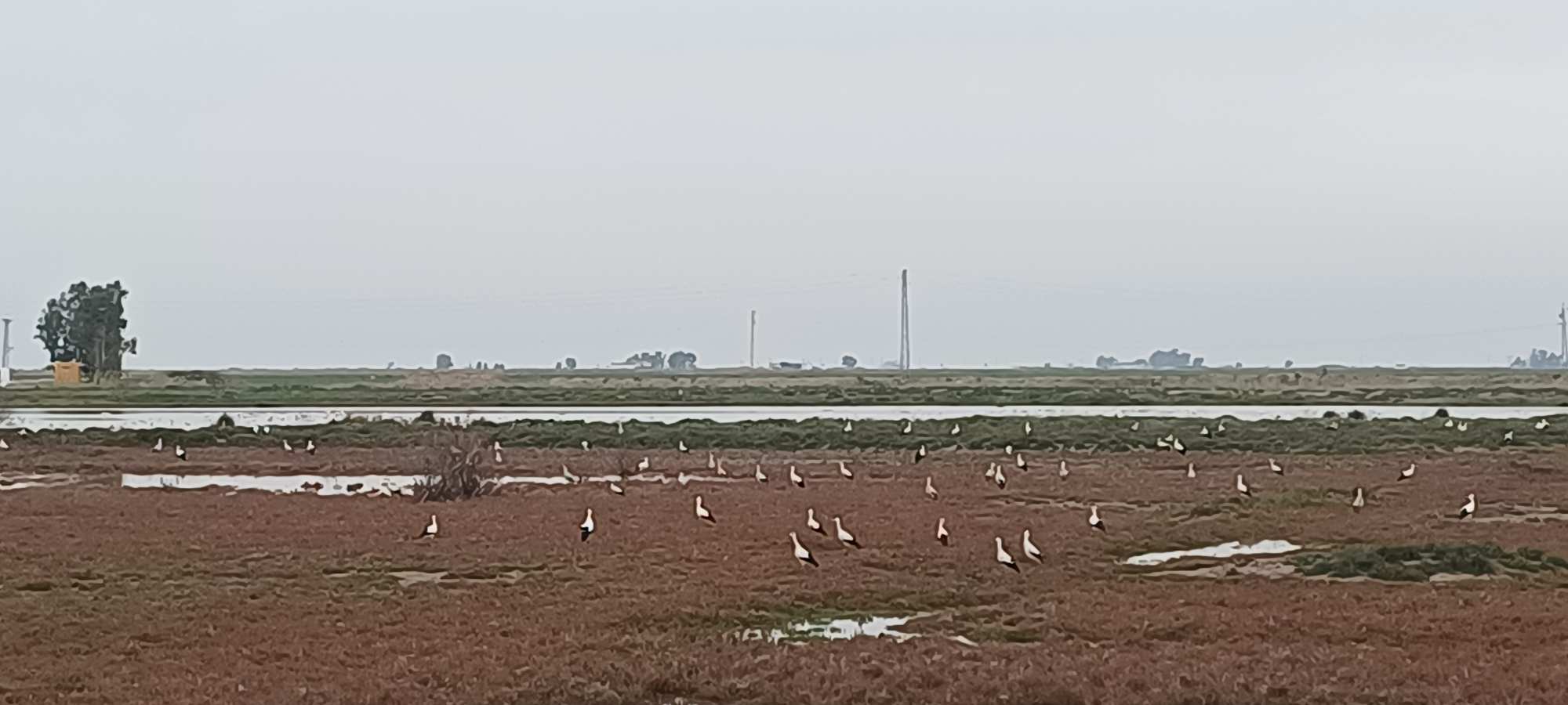 Parque Nacional de Doñana