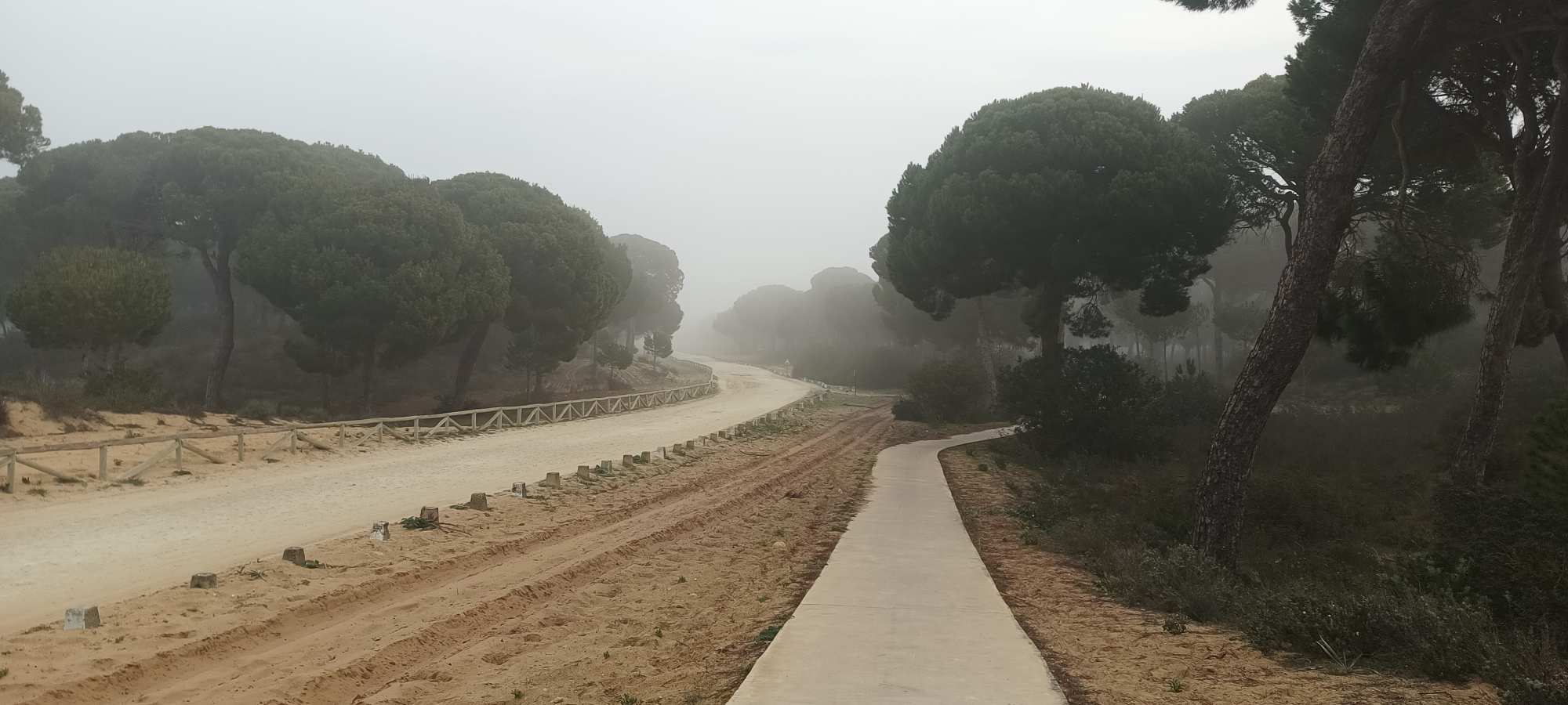 Parque Nacional de Doñana