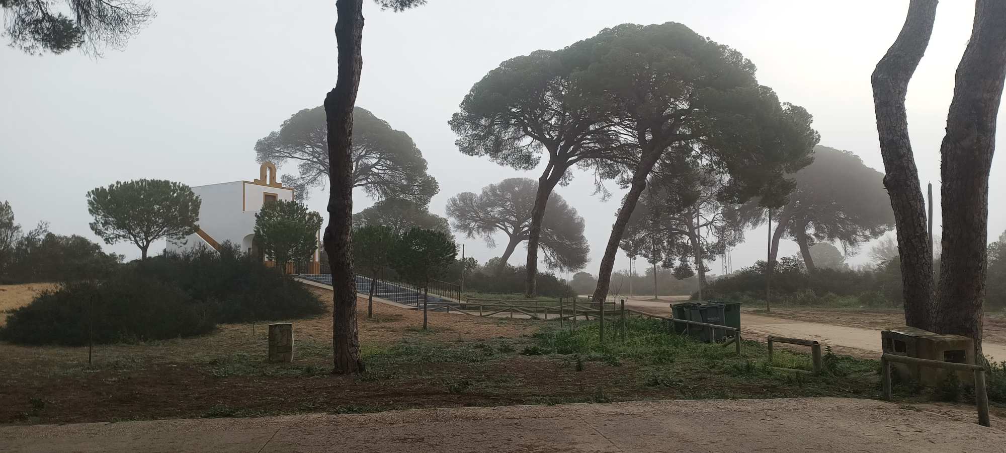 Parque Nacional de Doñana