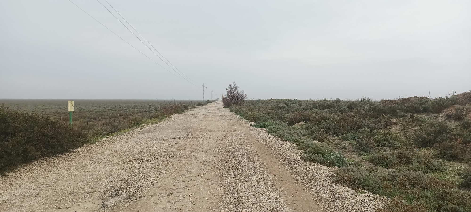 Parque Nacional de Doñana