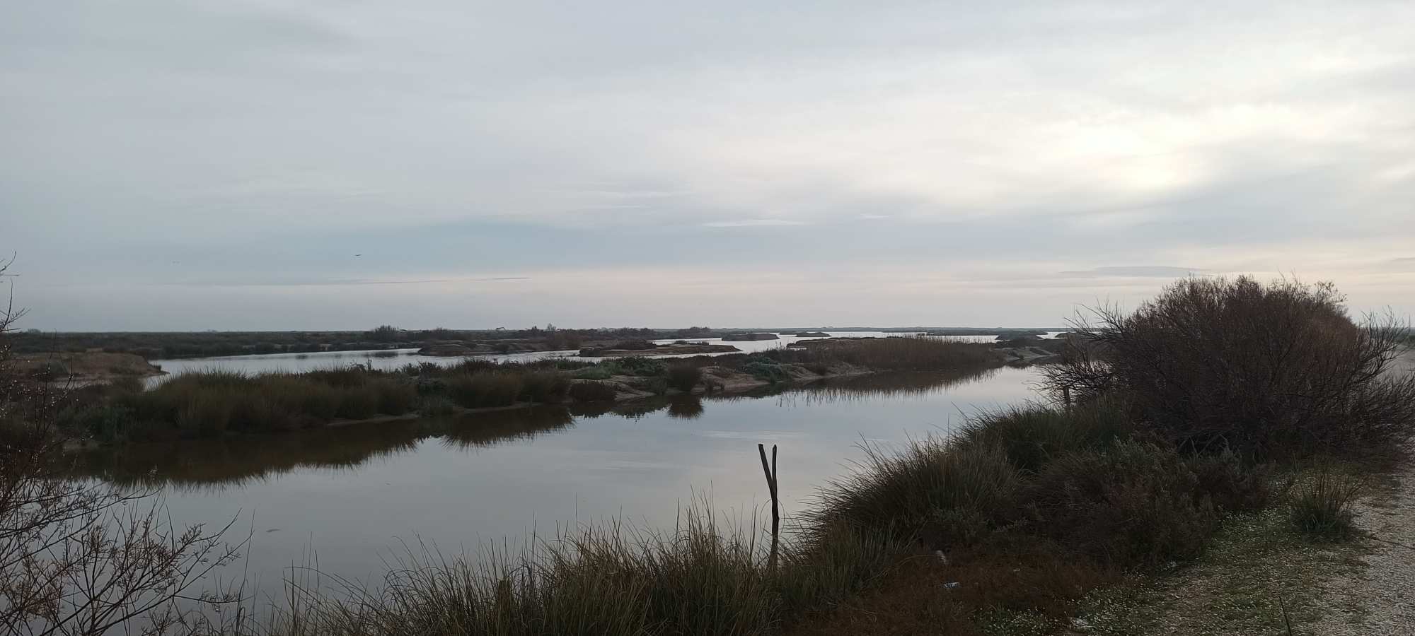 Parque Nacional de Doñana