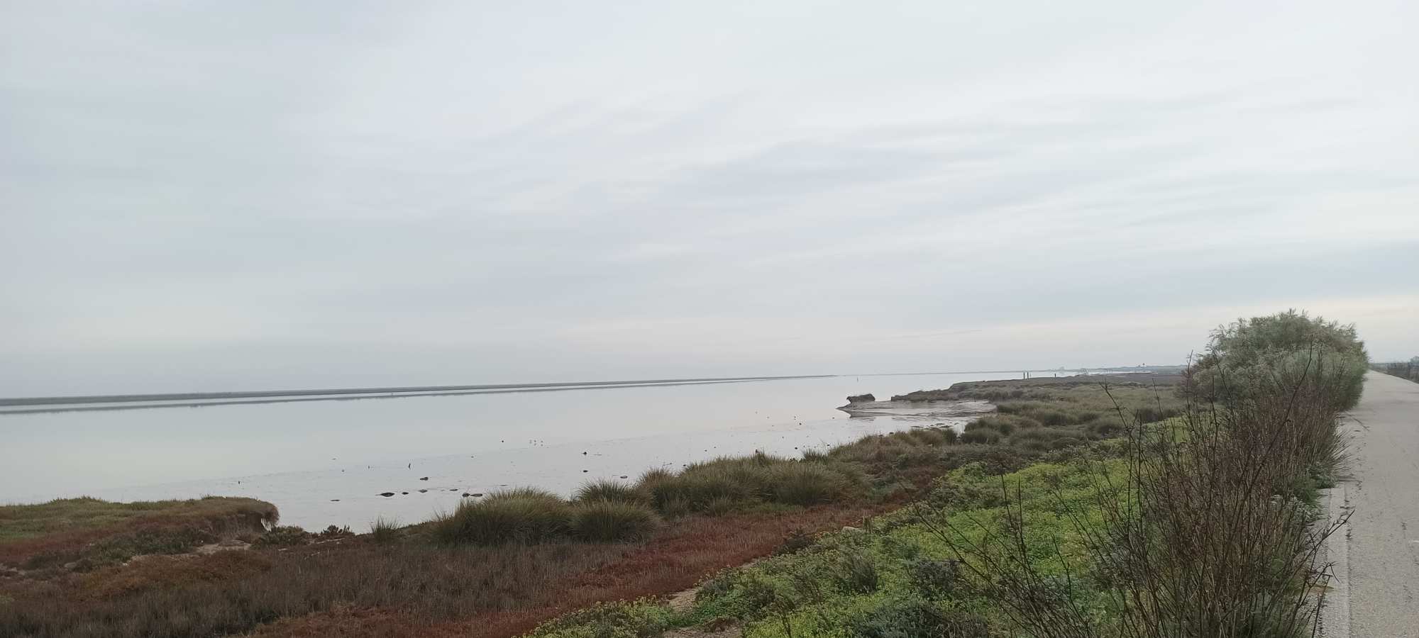 Parque Nacional de Doñana