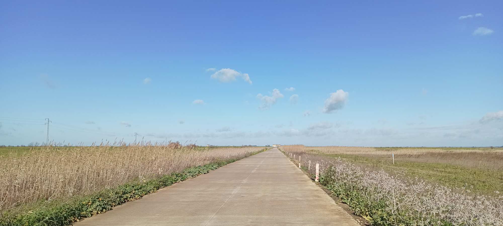 Parque Nacional de Doñana