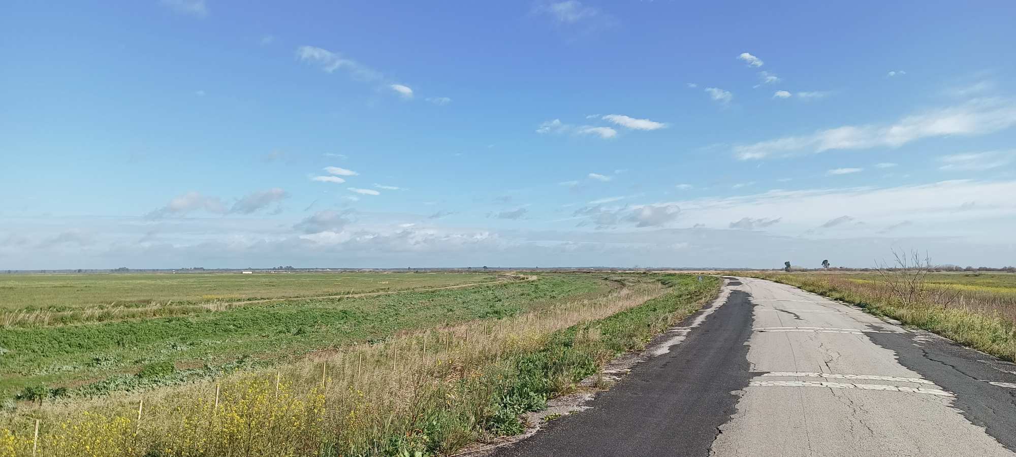 Parque Nacional de Doñana