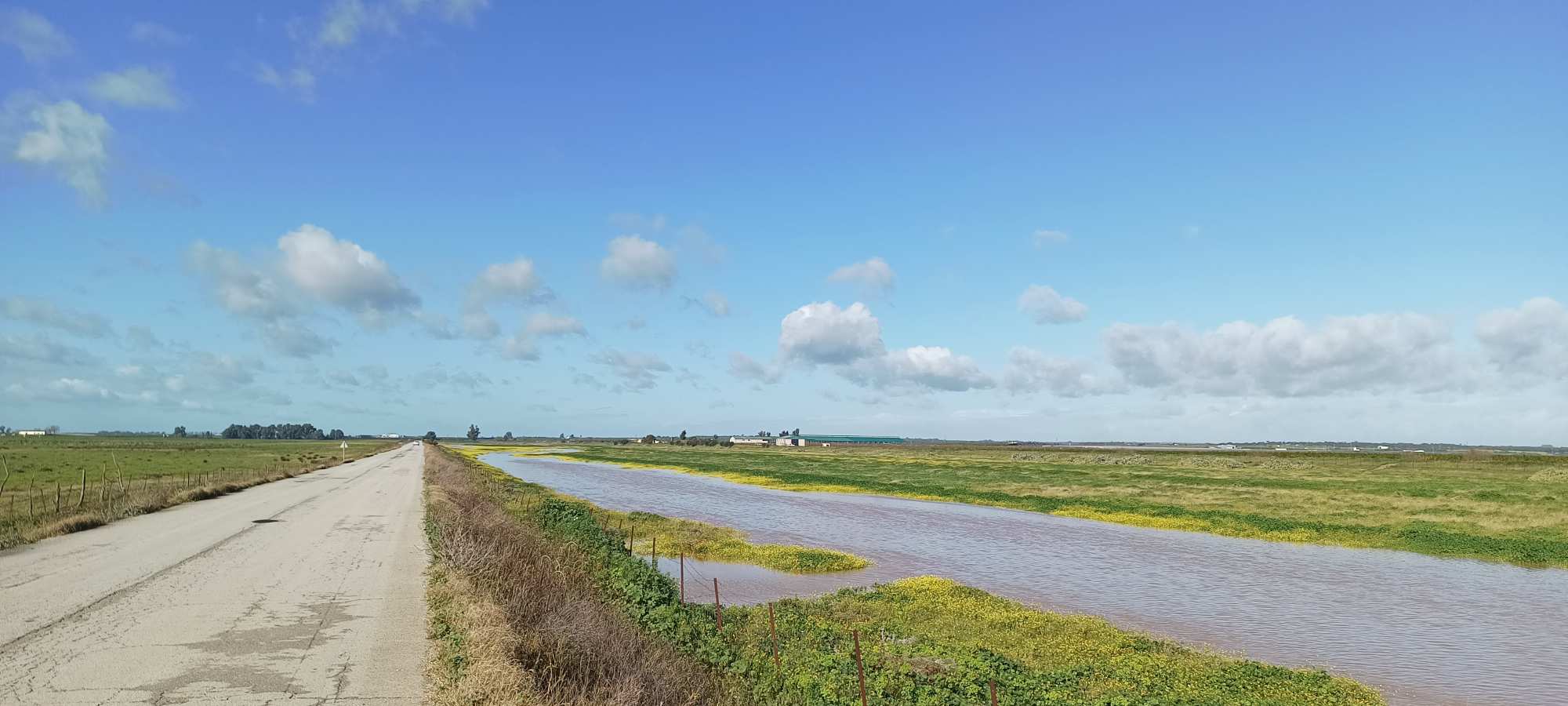 Parque Nacional de Doñana