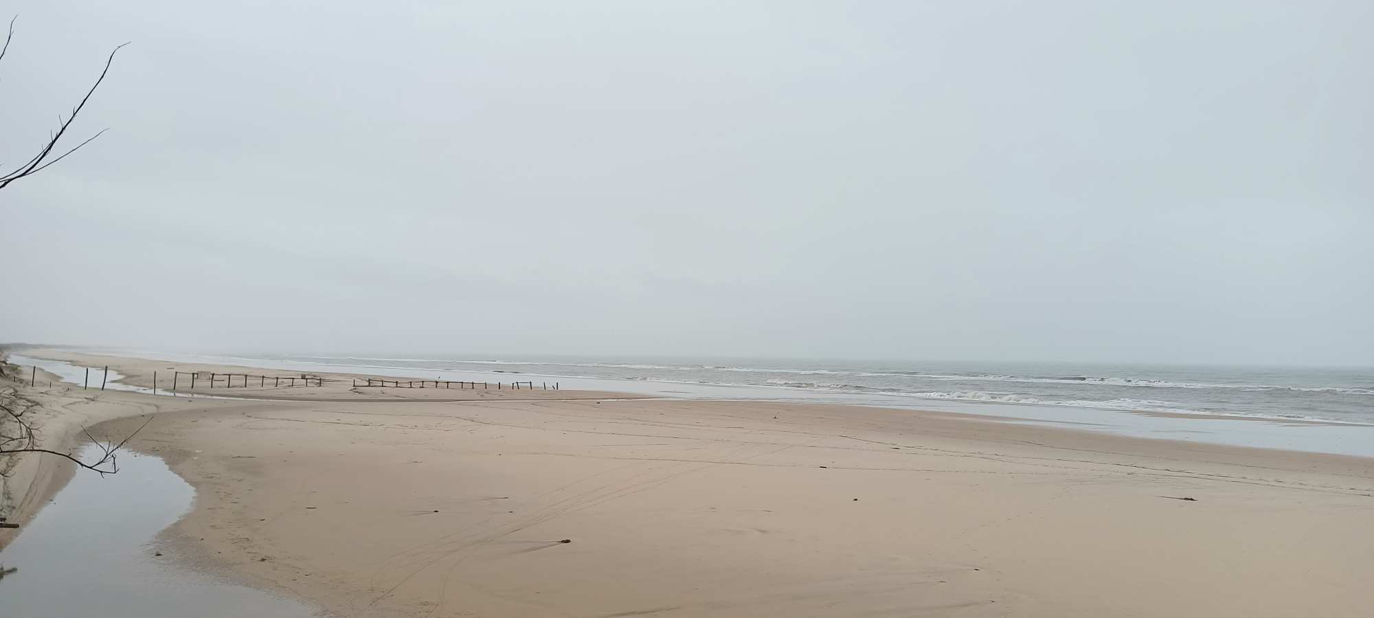 Parque Nacional de Doñana
