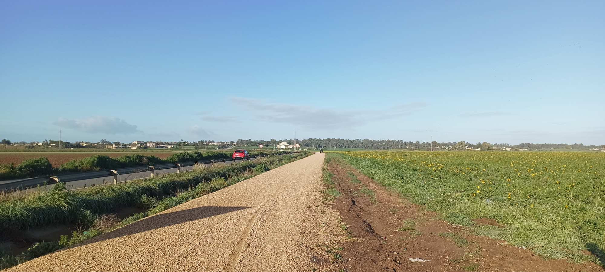 Parque Nacional de Doñana