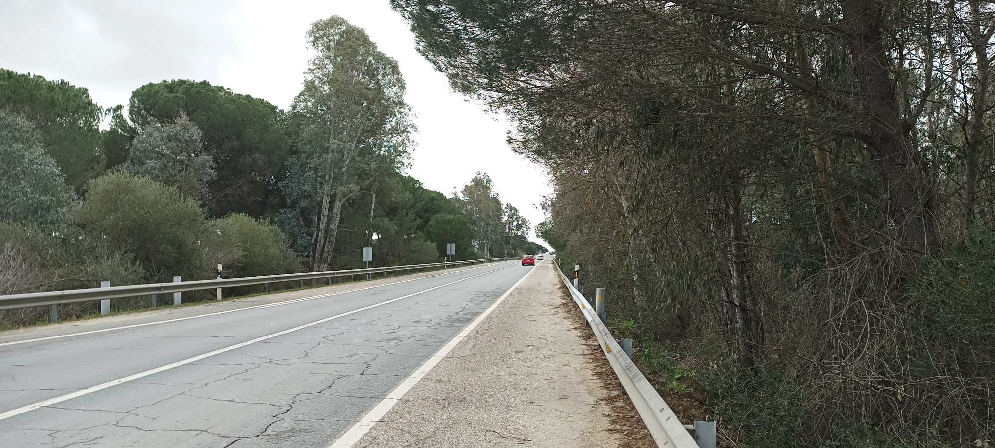 Parque Nacional de Doñana