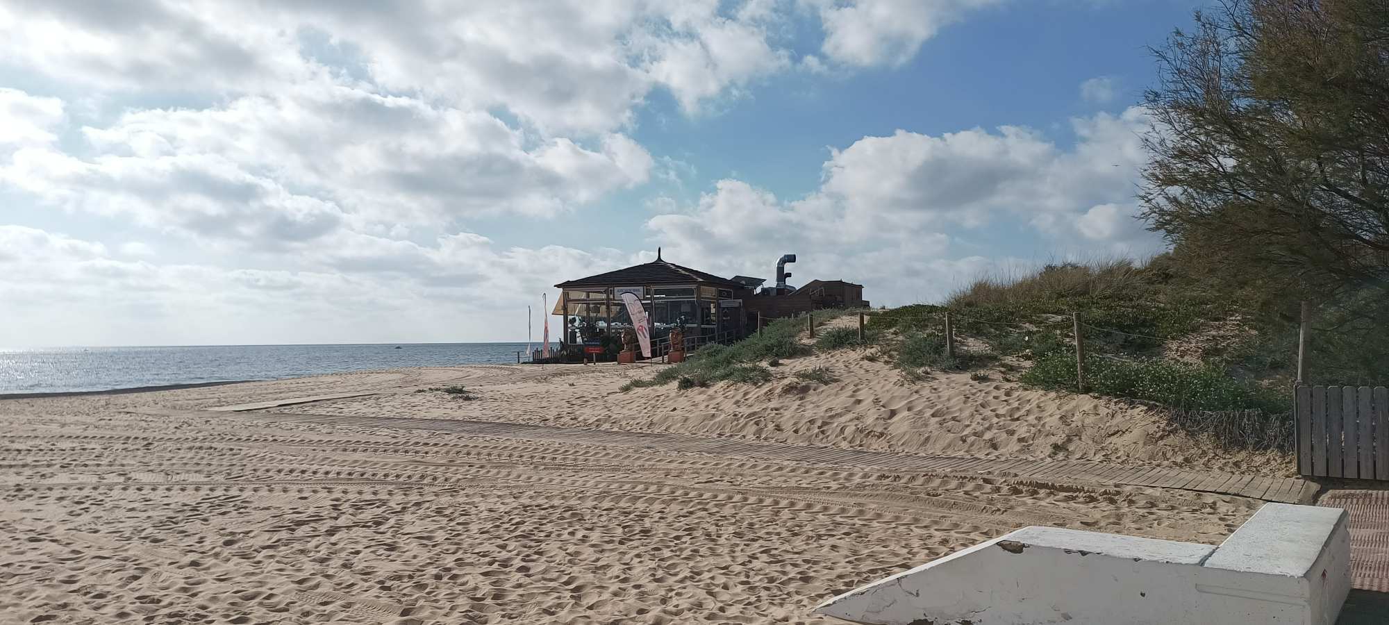 Rota