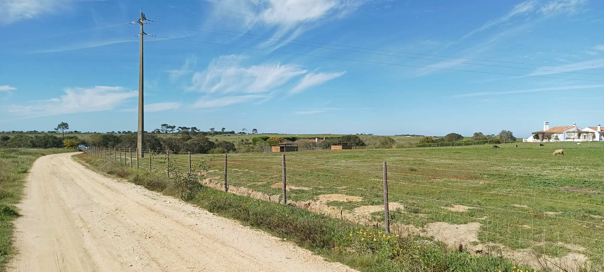 Cabo Sardão