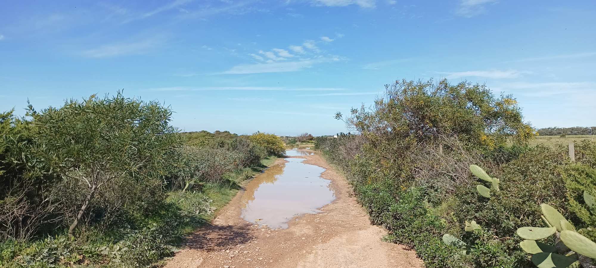 Cabo Sardão