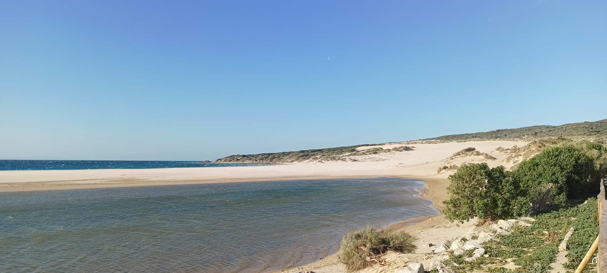 Tarifa