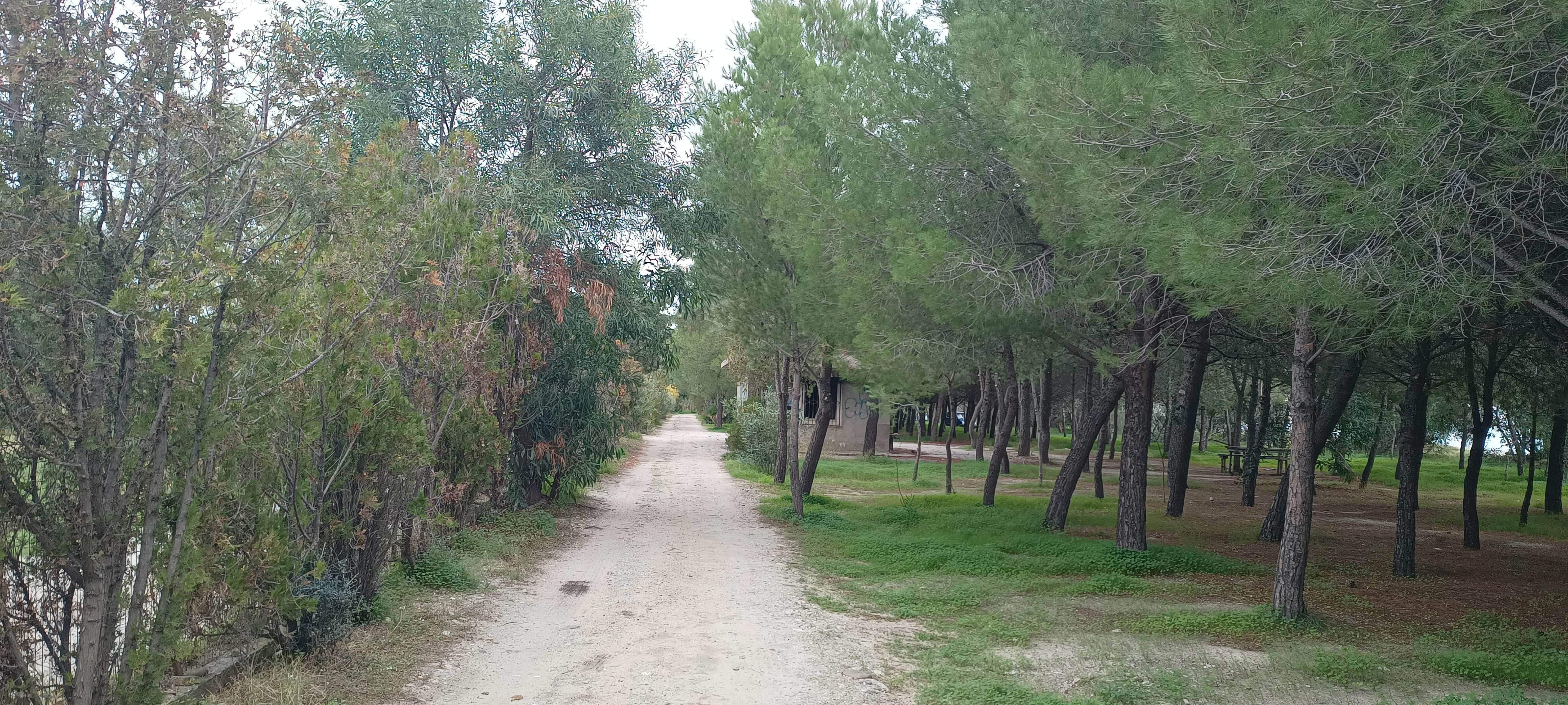 Locri