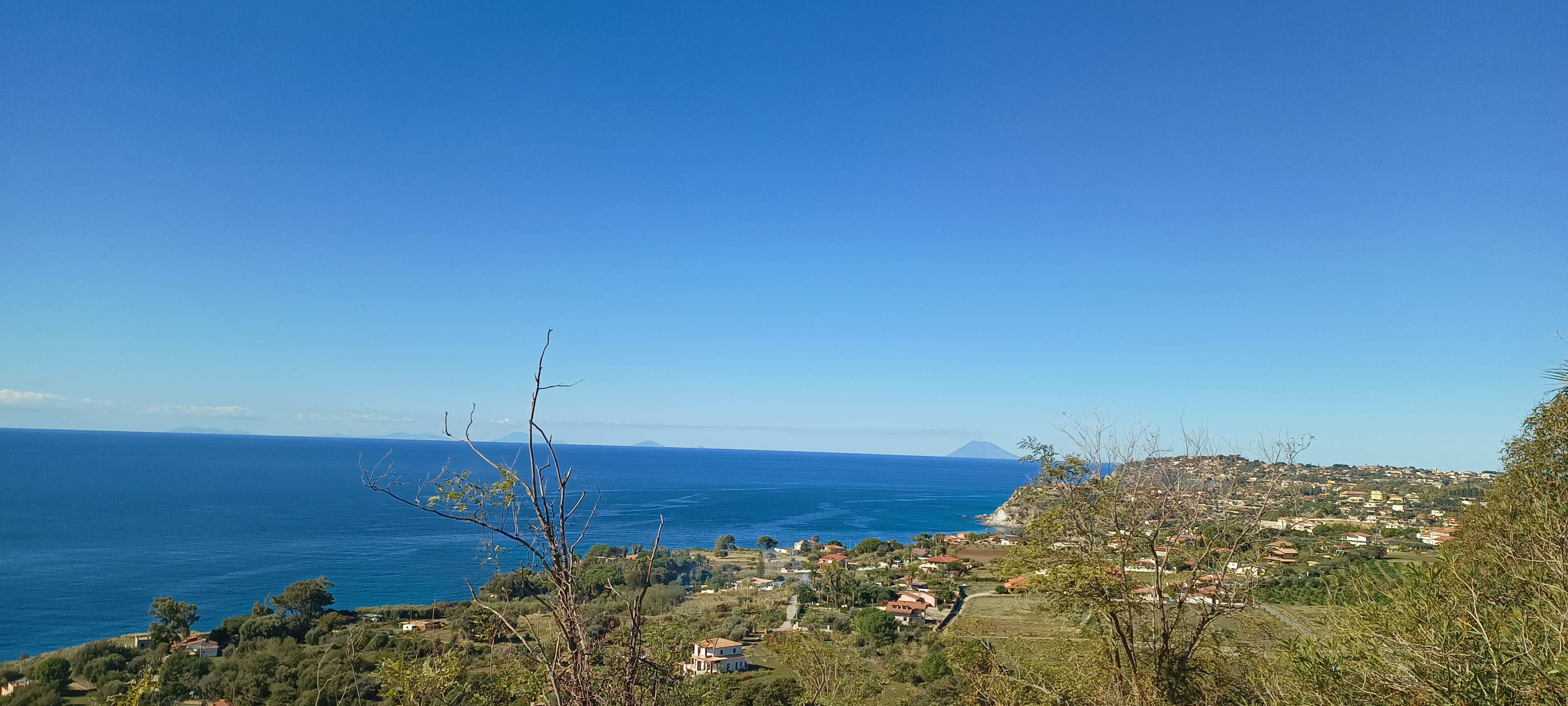 Nicotera