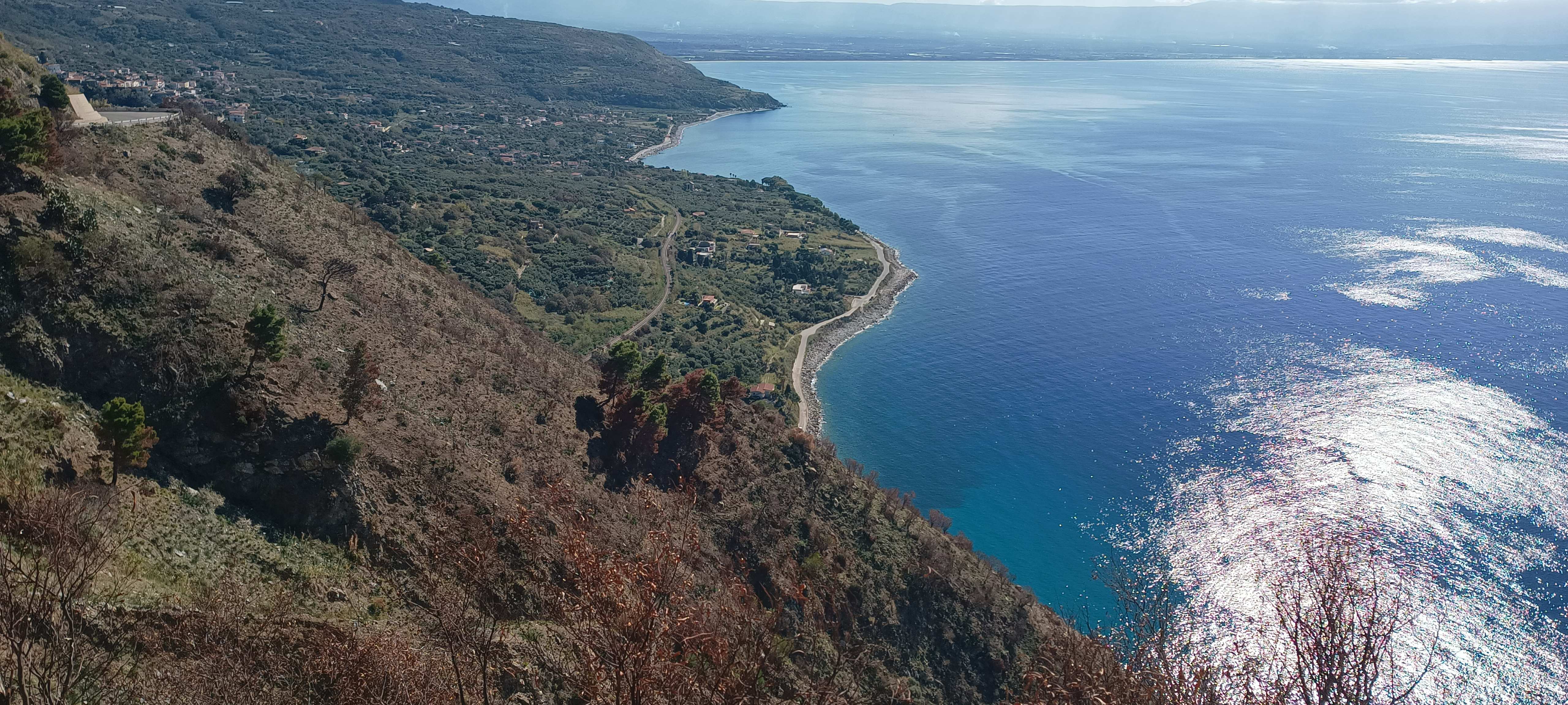 Nicotera