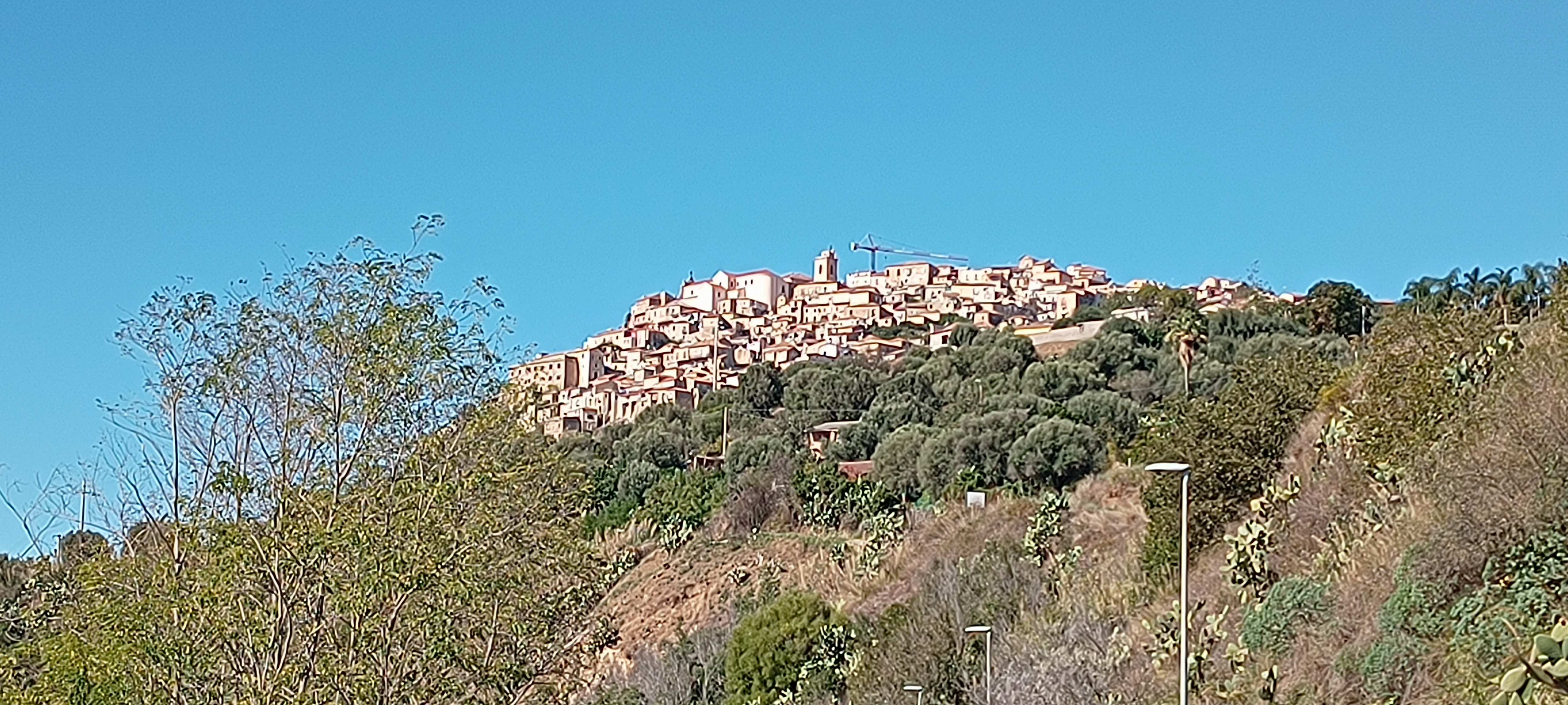 Nicotera