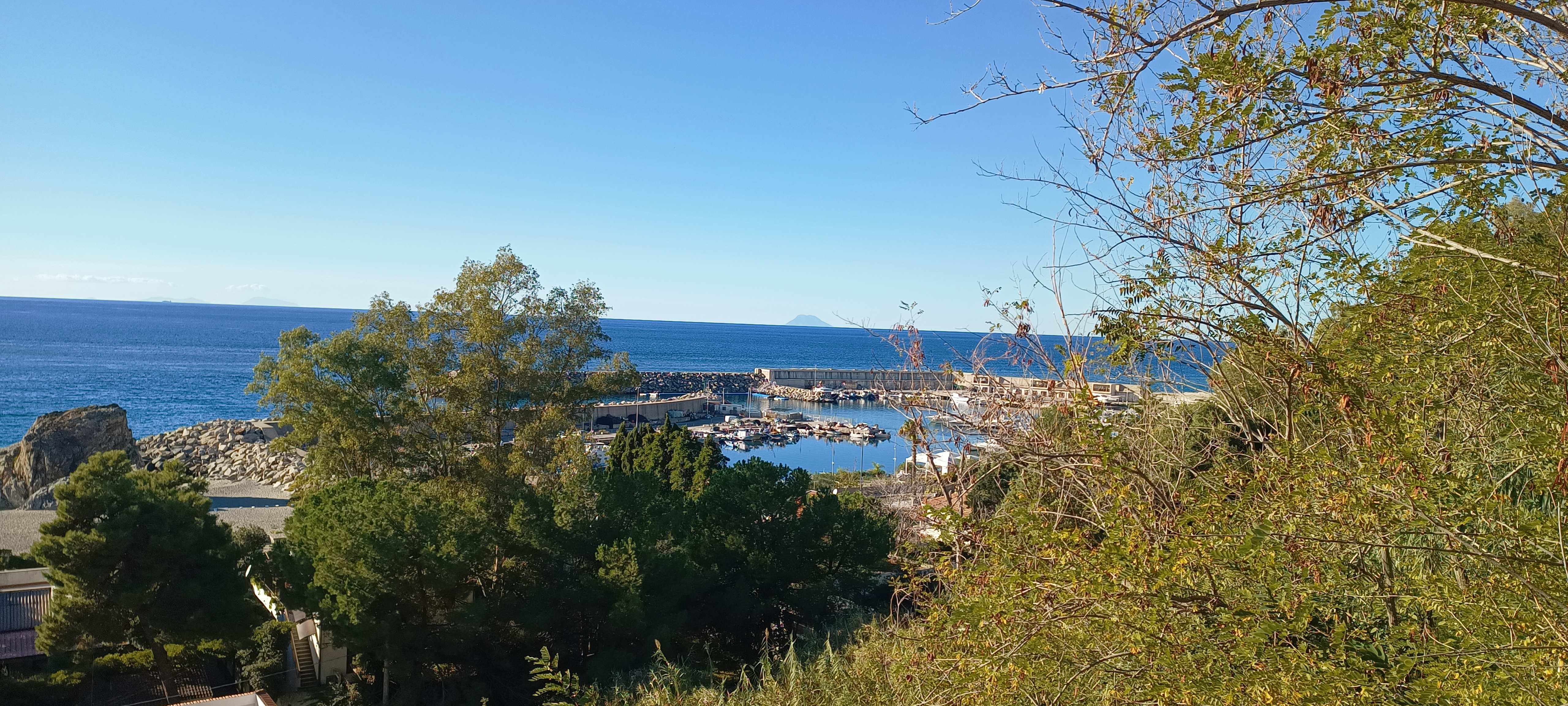 Palmi