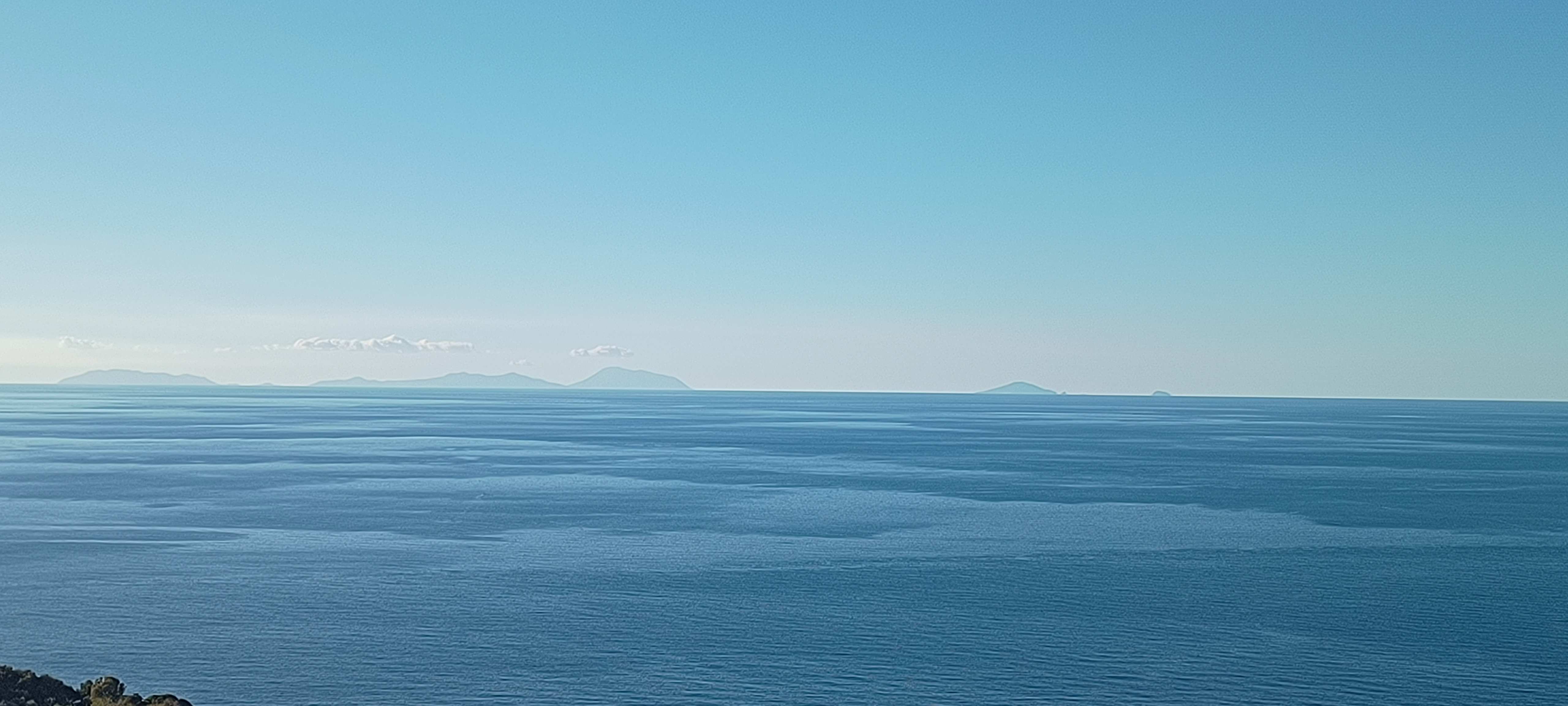 Palmi