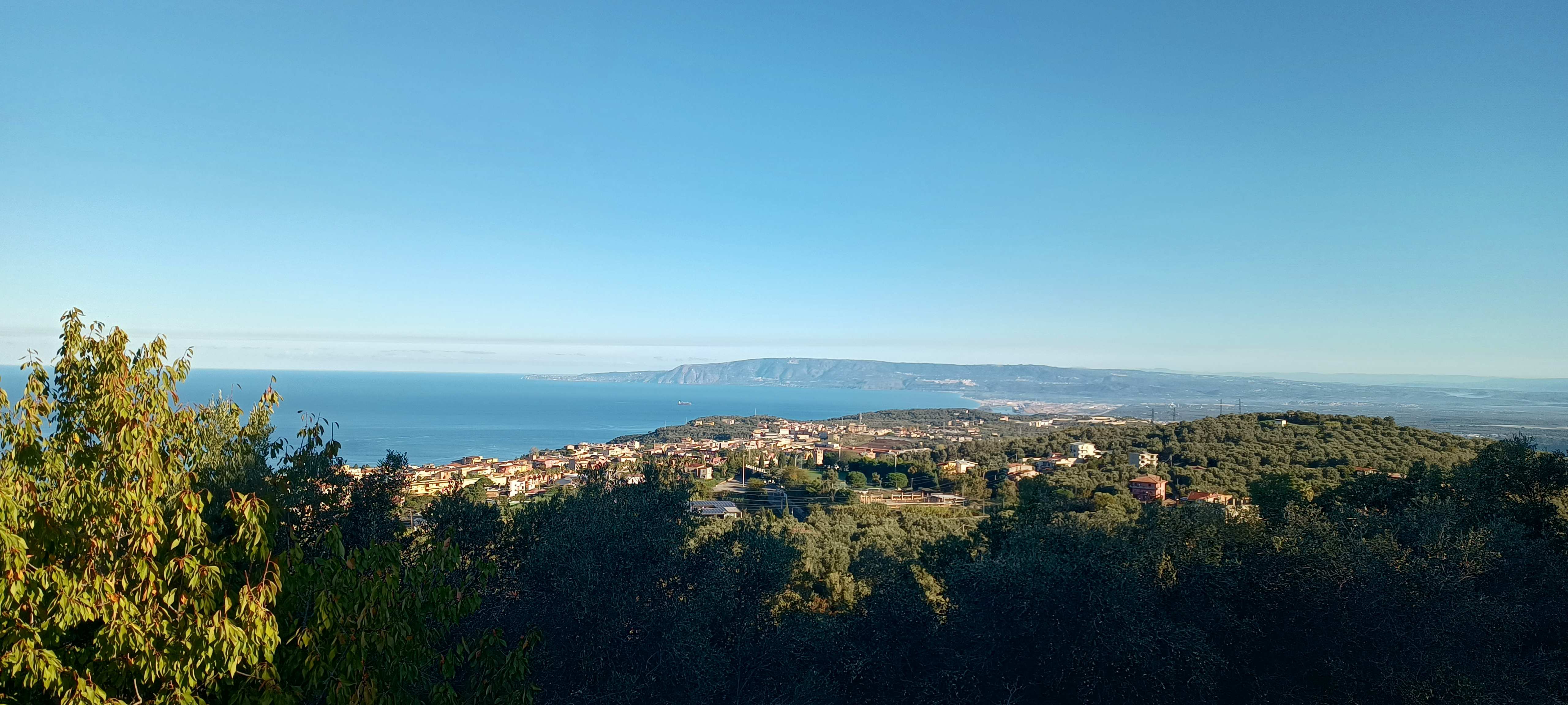Palmi