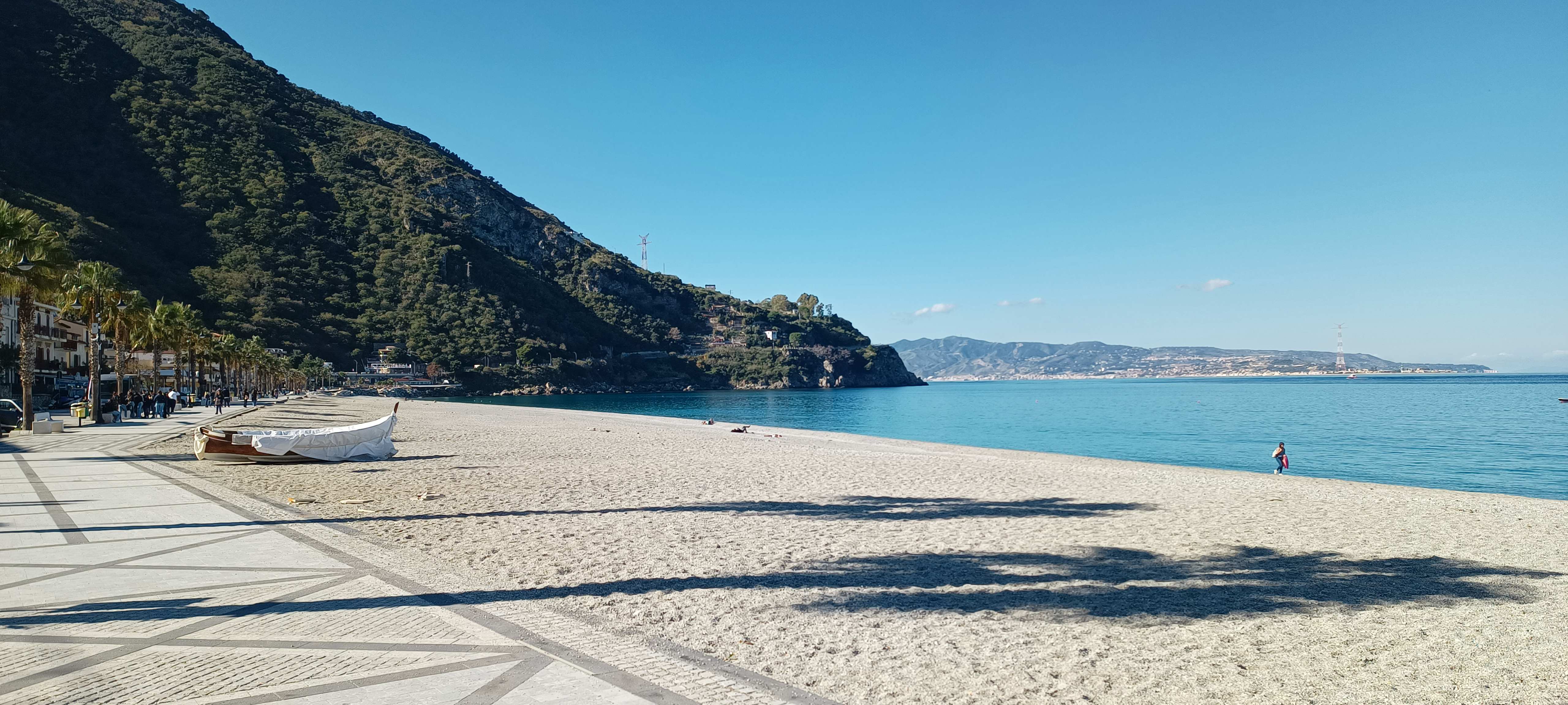 Scilla