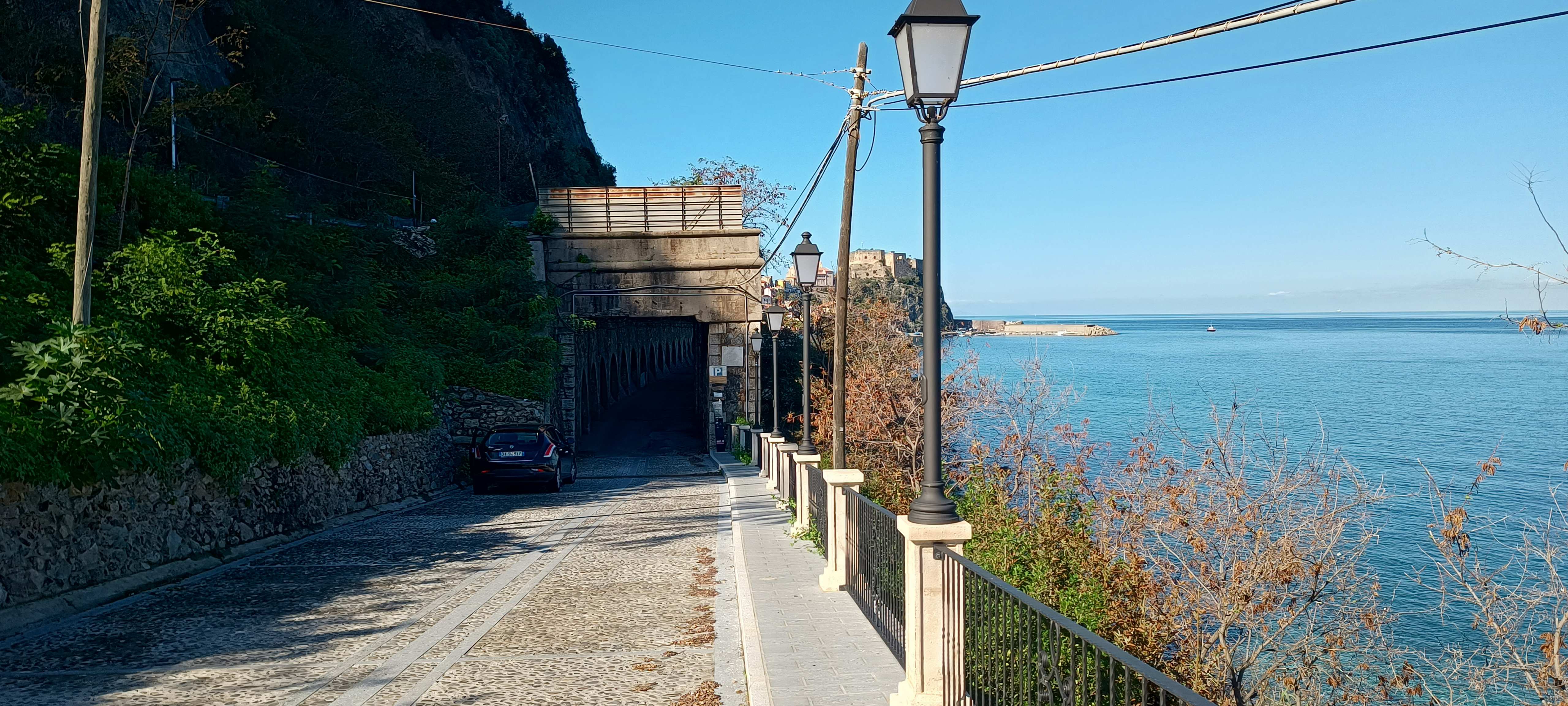 Scilla