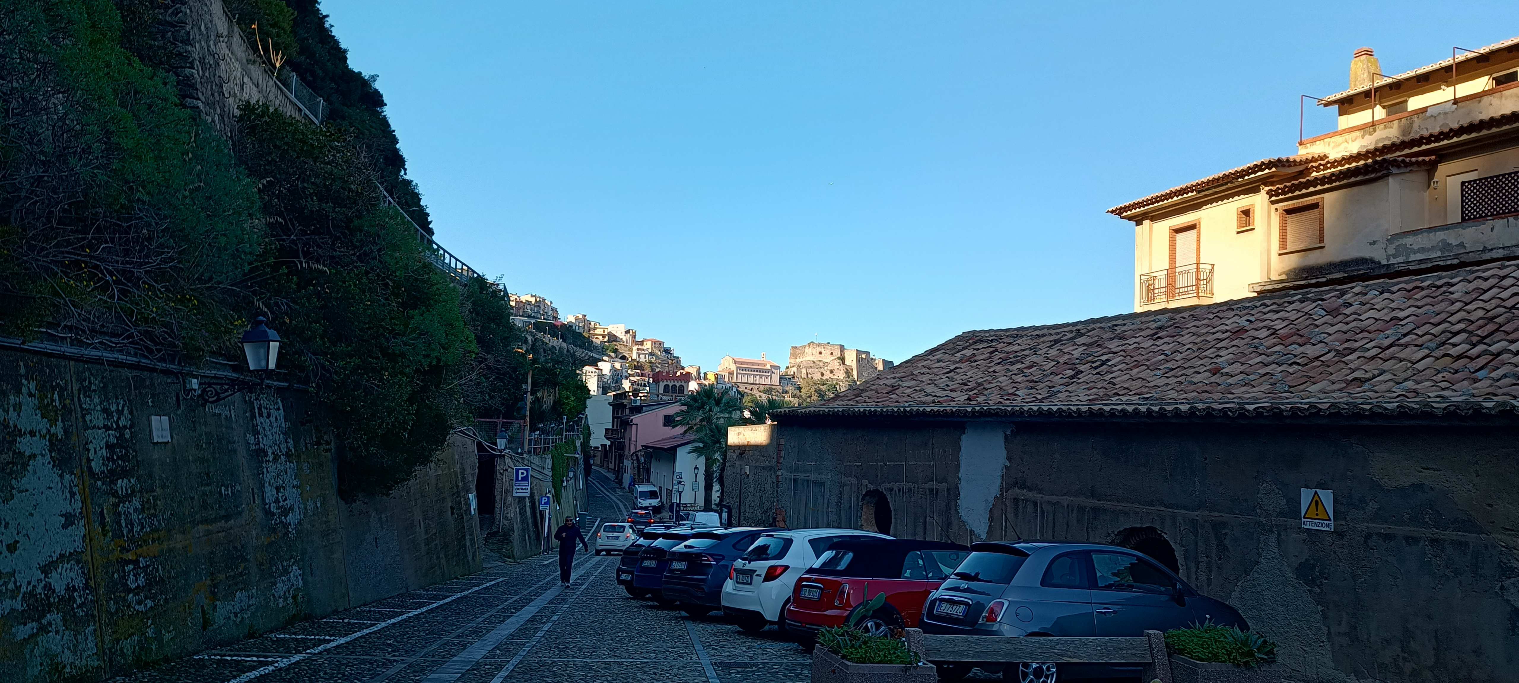 Scilla
