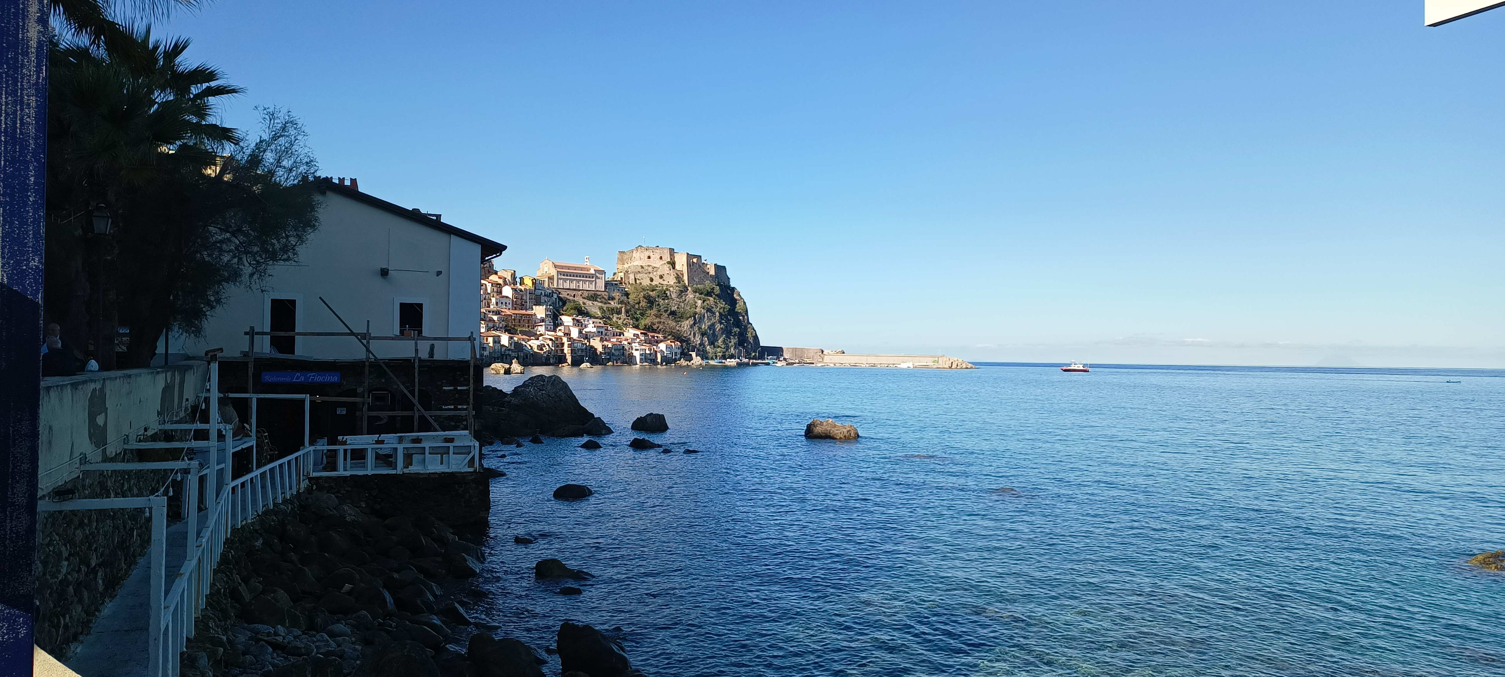 Scilla