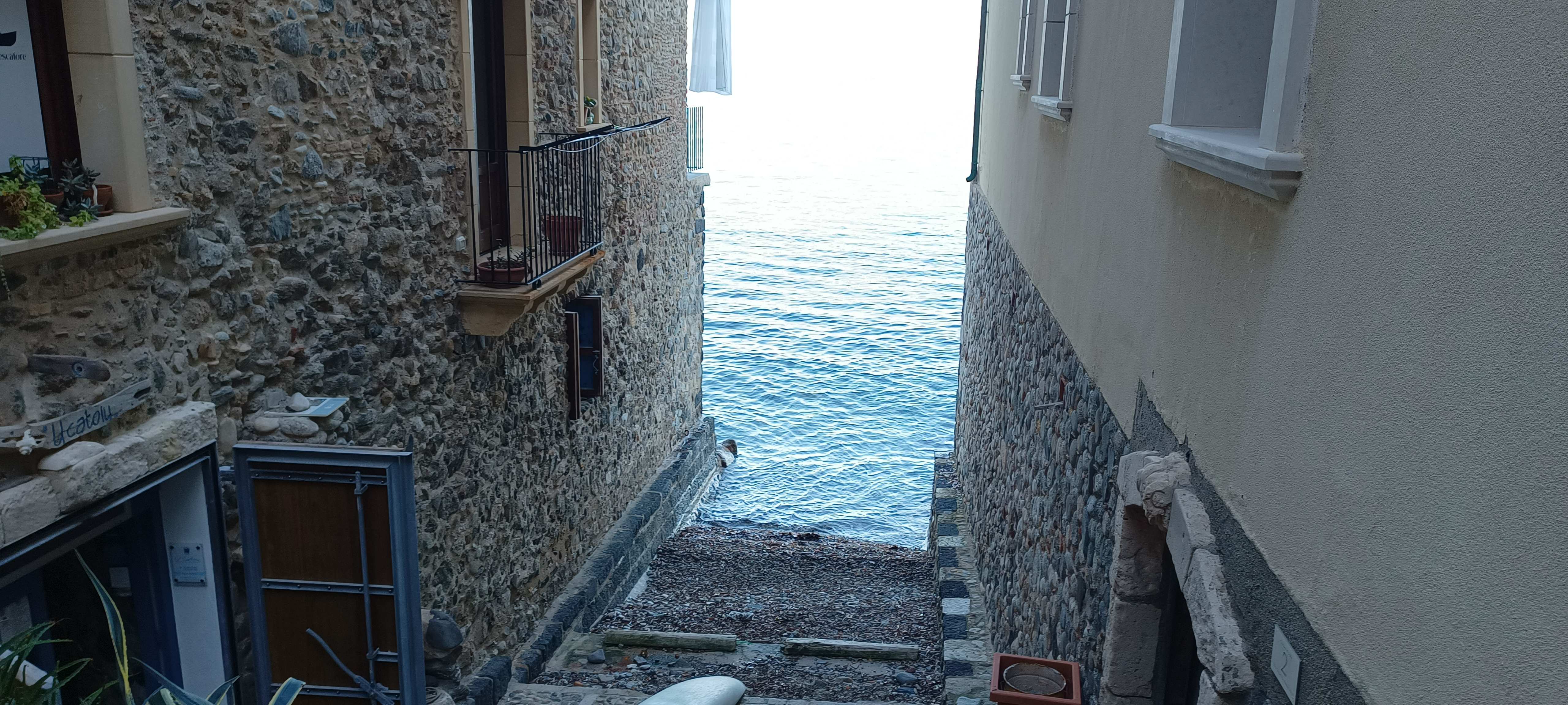 Scilla