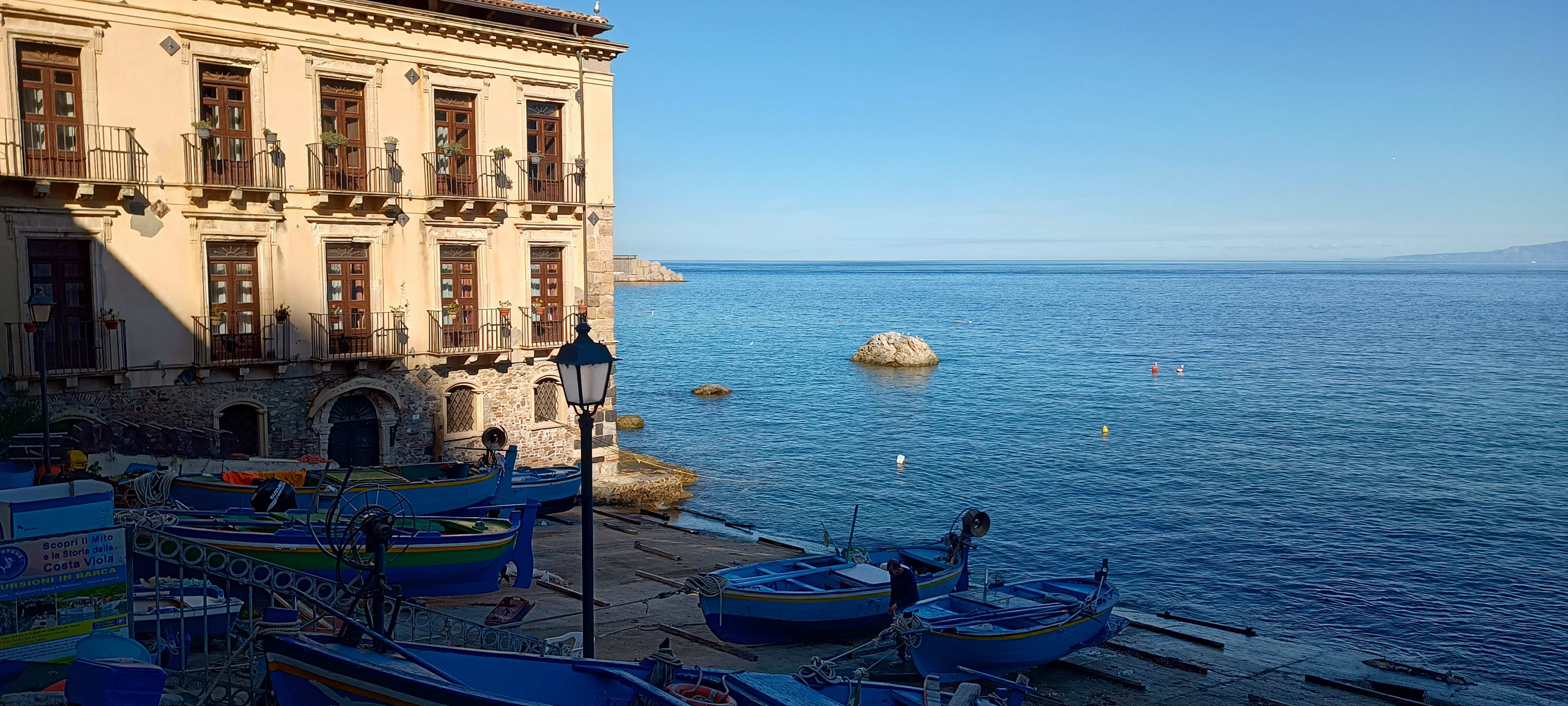 Scilla