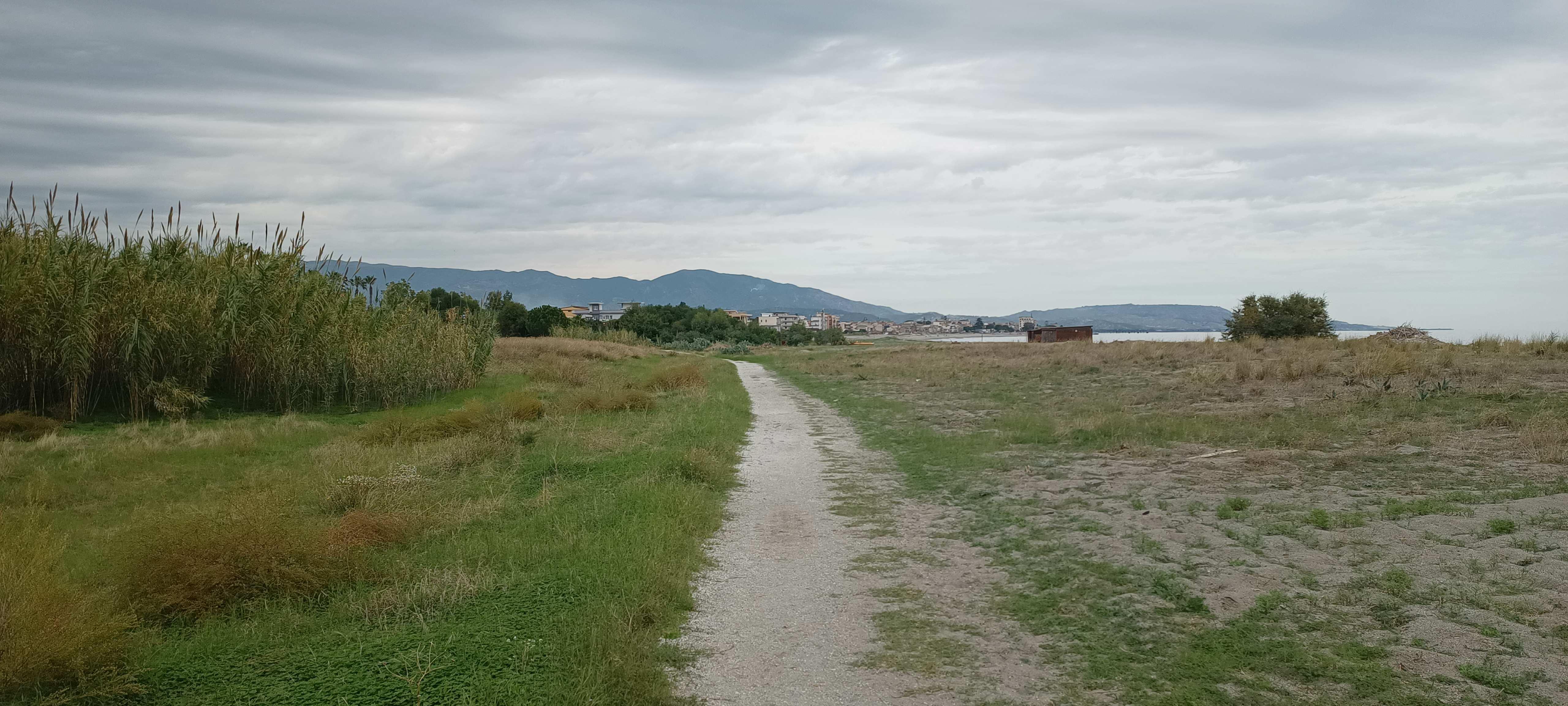 Siderno