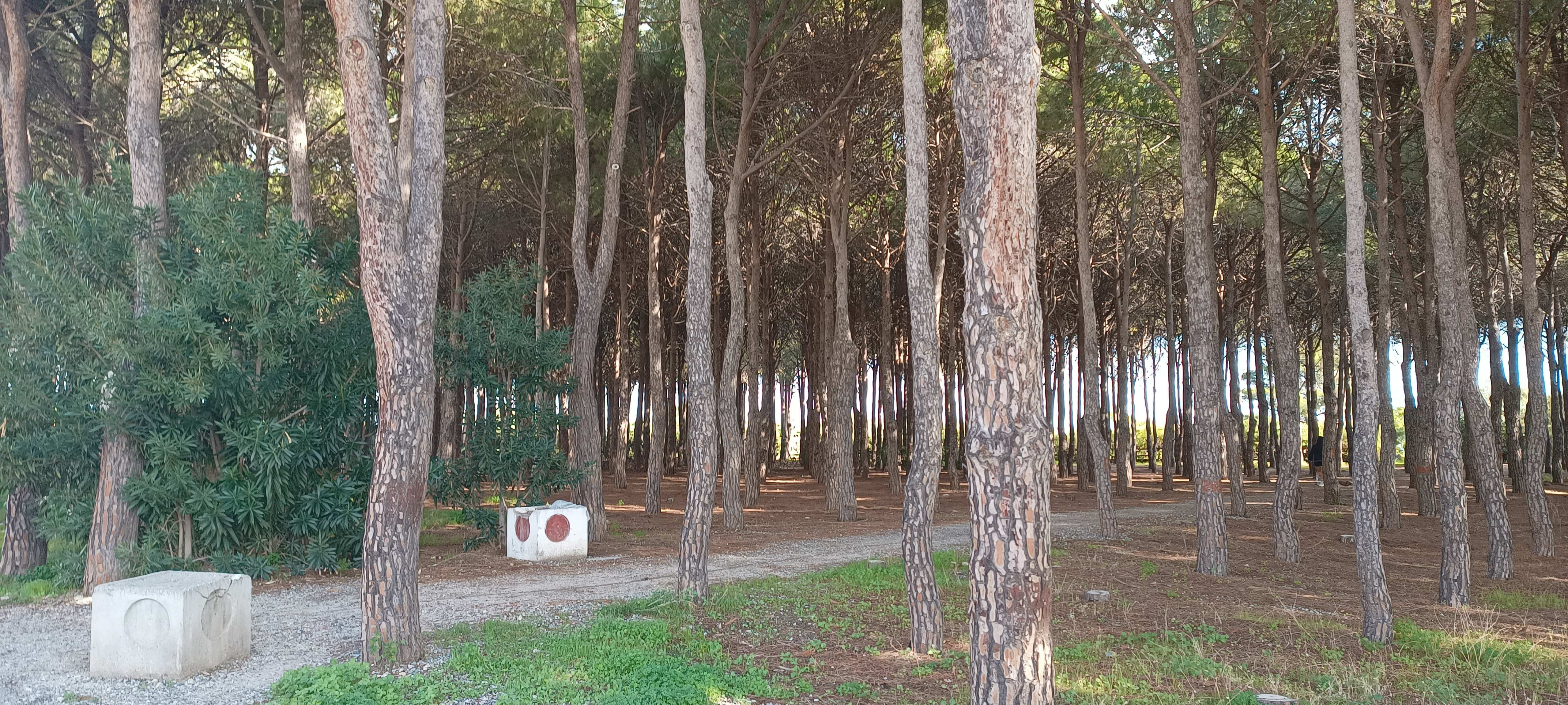 Soverato