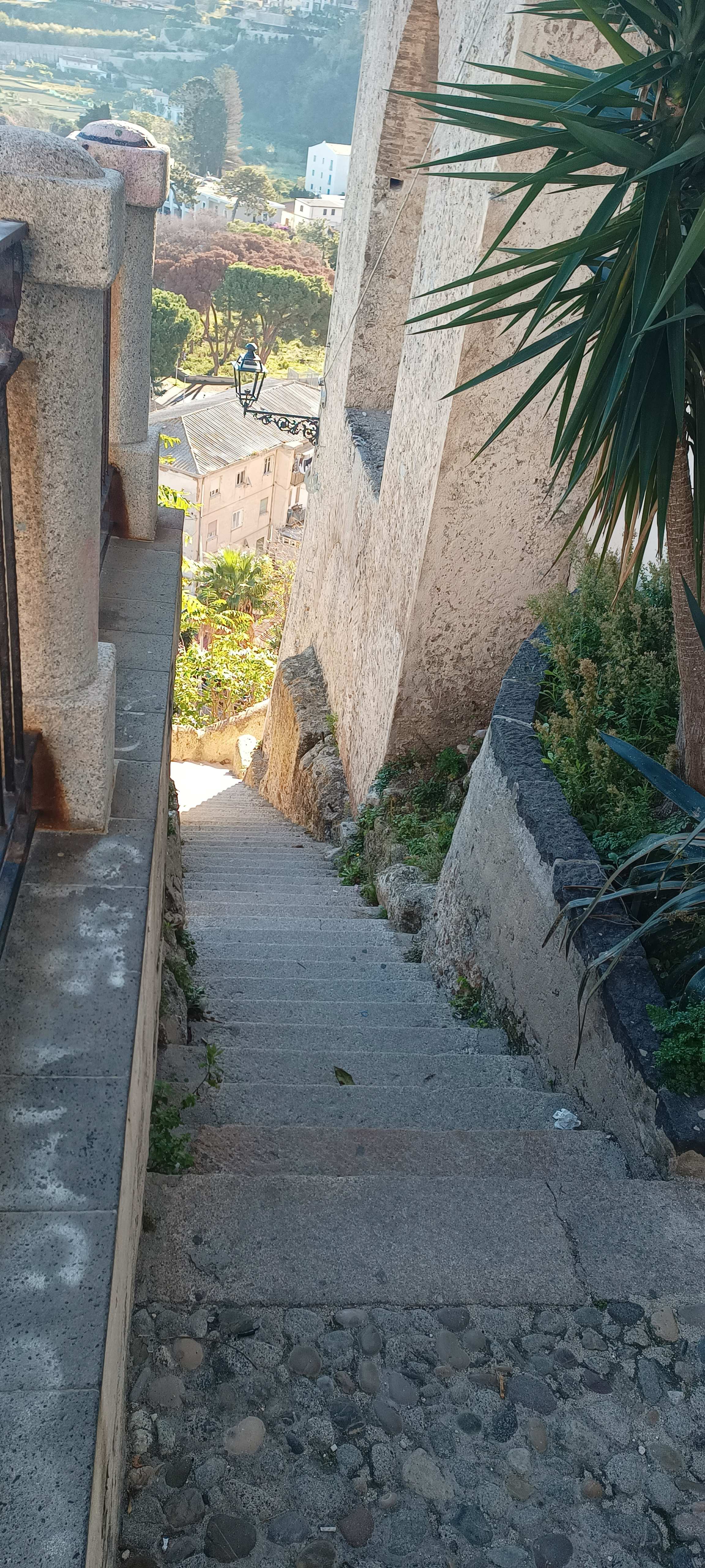 Tropea