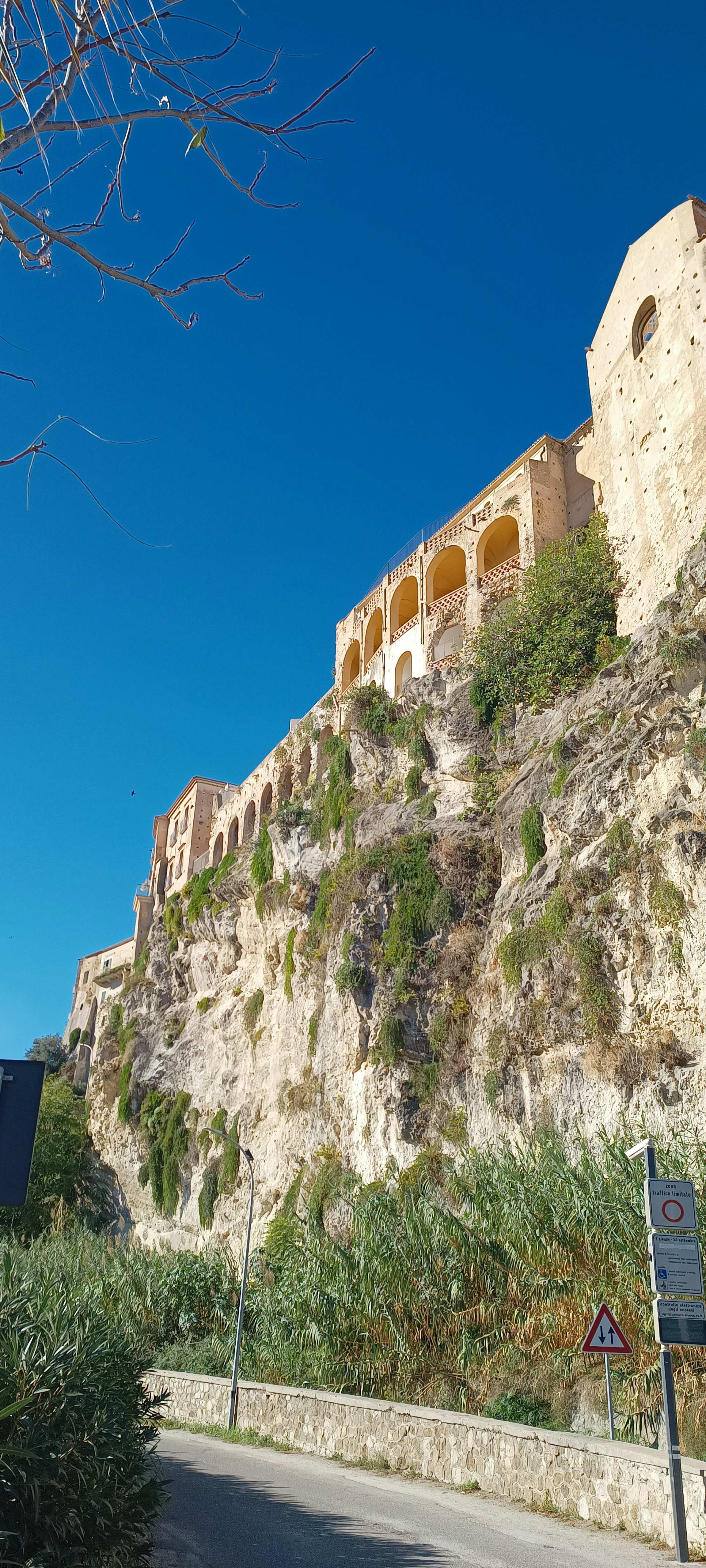 Tropea