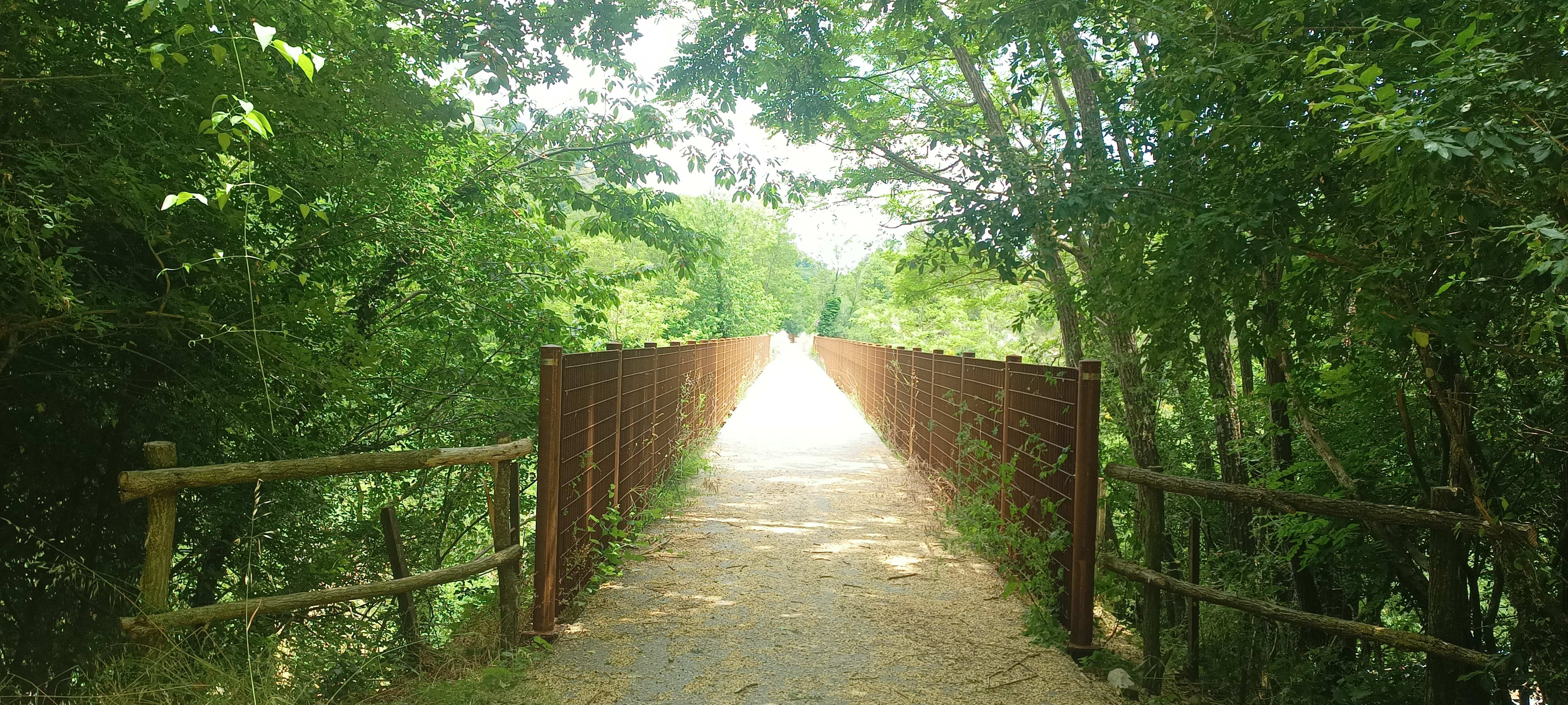 Campotenese
