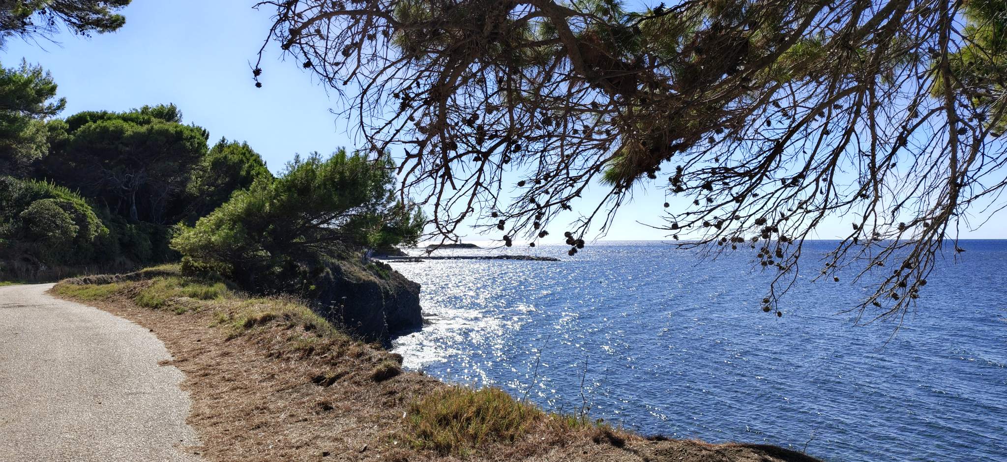 Punta Licosa