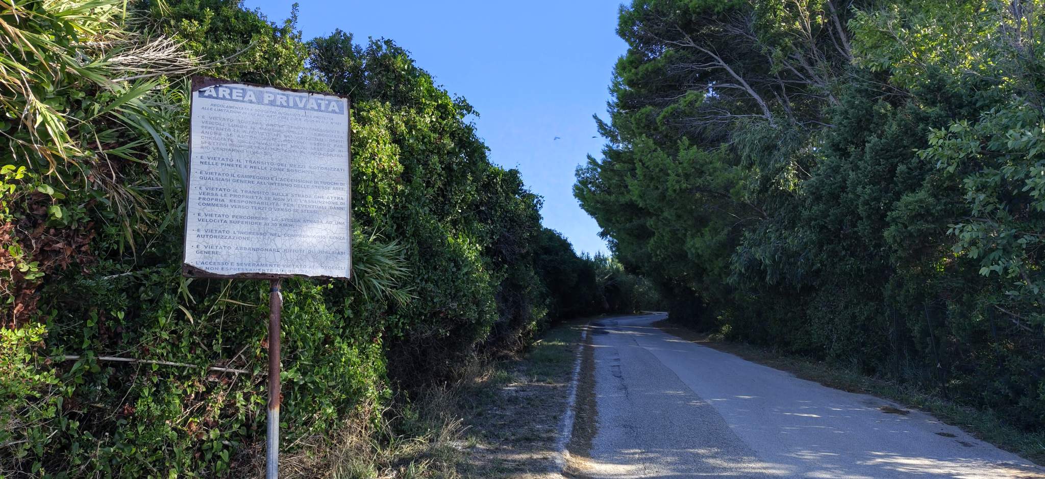 Punta Licosa